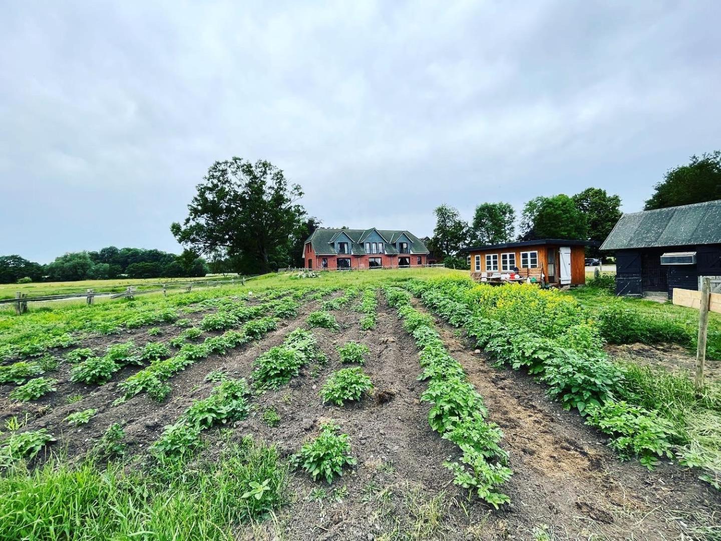 Reihenhaus Geltinger Bucht