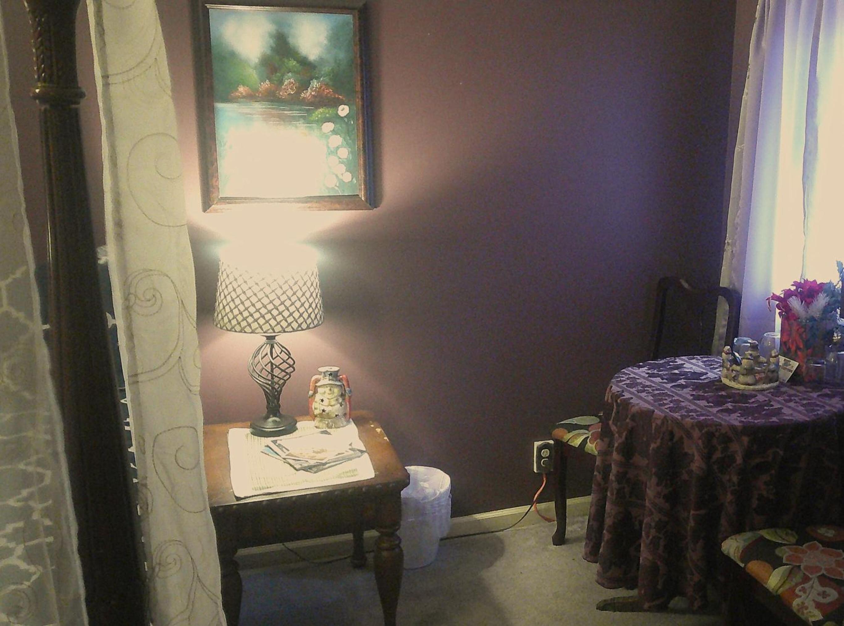 Photo 45