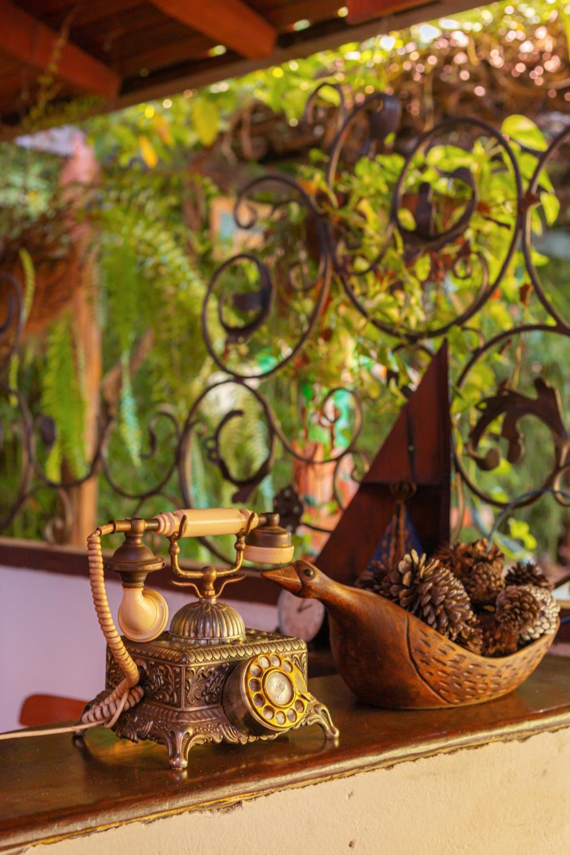 Pouso, Café e Cultura