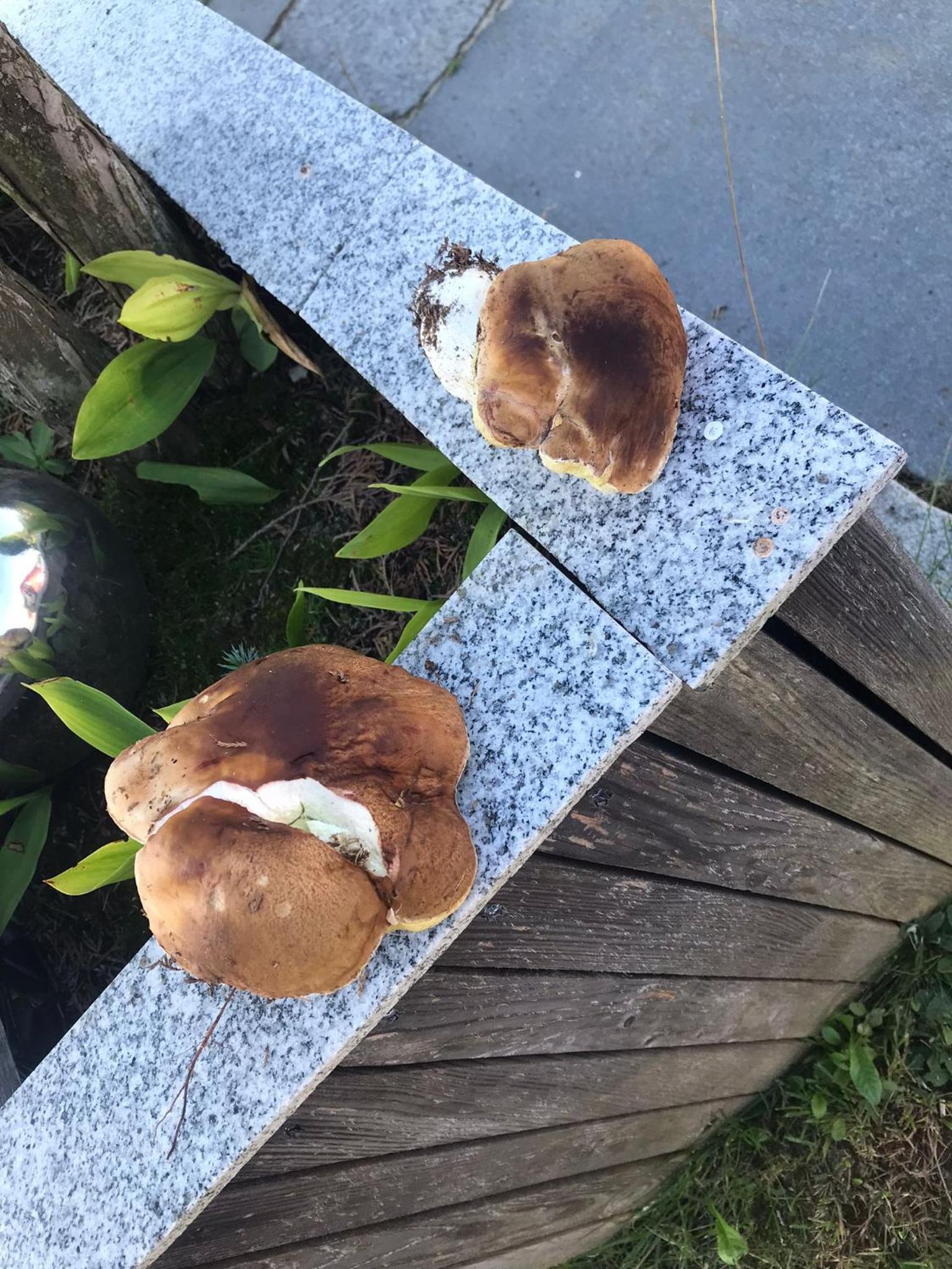 Zur neuen Post Landgasthof