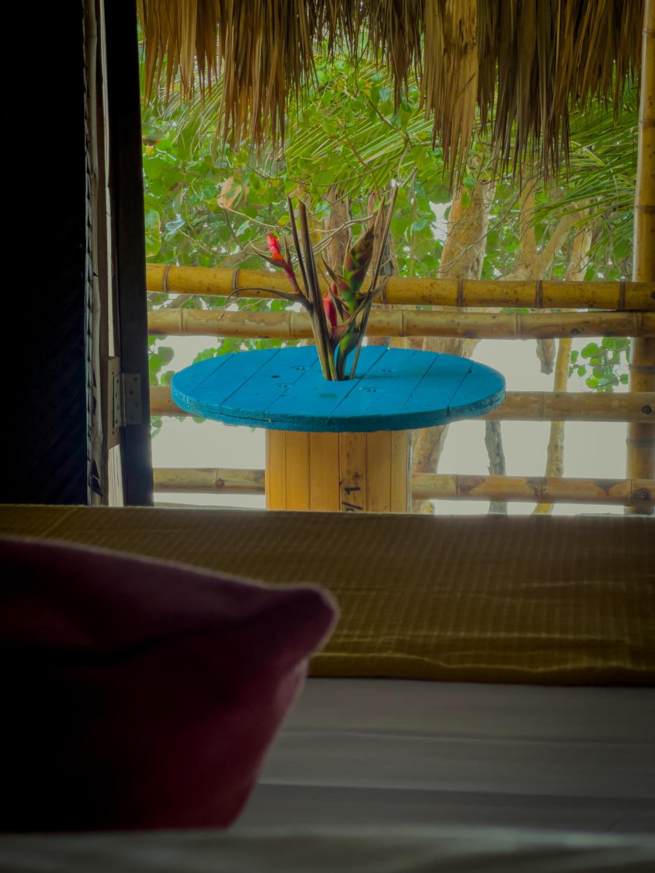 Los Achiotes Hostal - Palomino