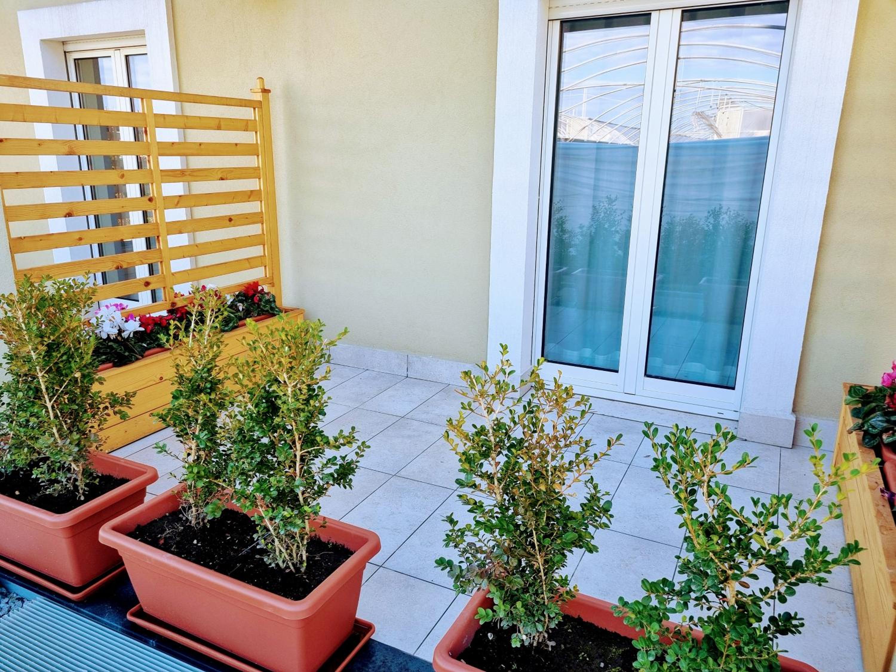 Ro agriMaison view 4