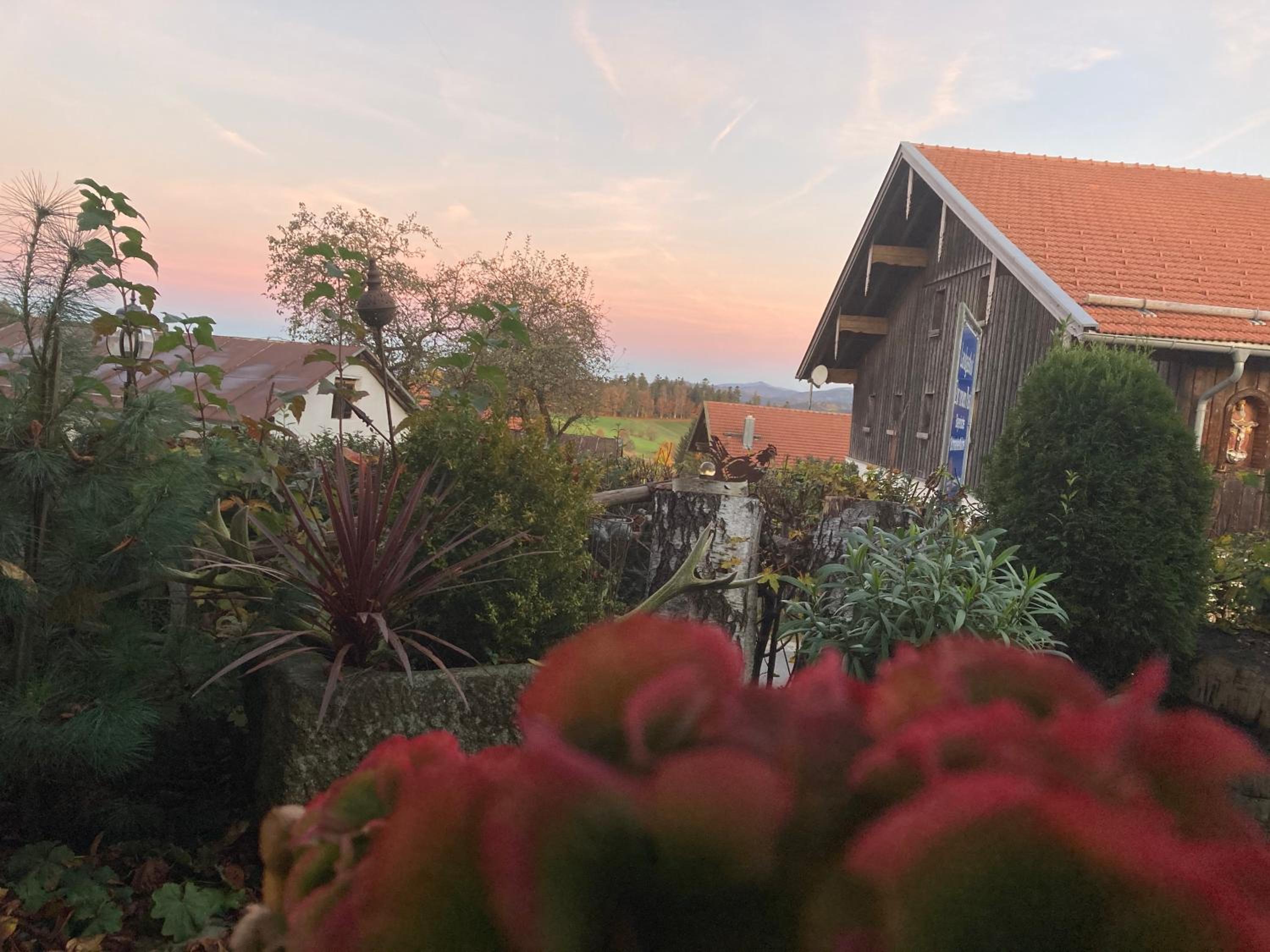 Zur neuen Post Landgasthof