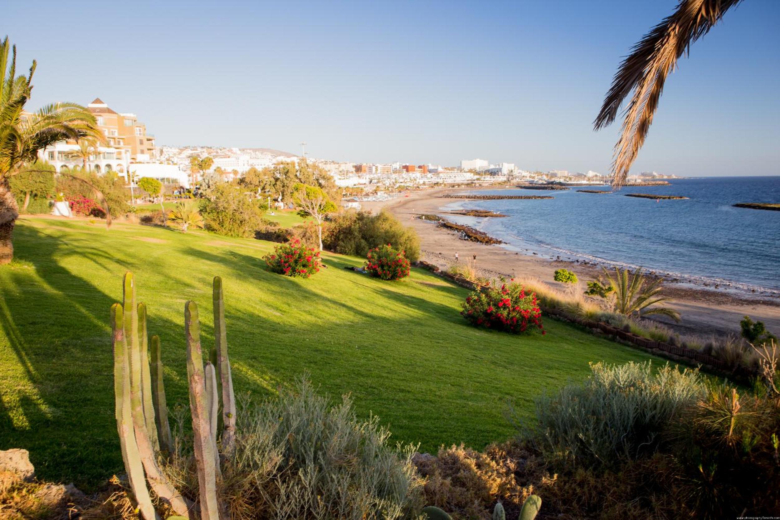 SUITE Las Terrazas Favorite Place Costa Adeje
