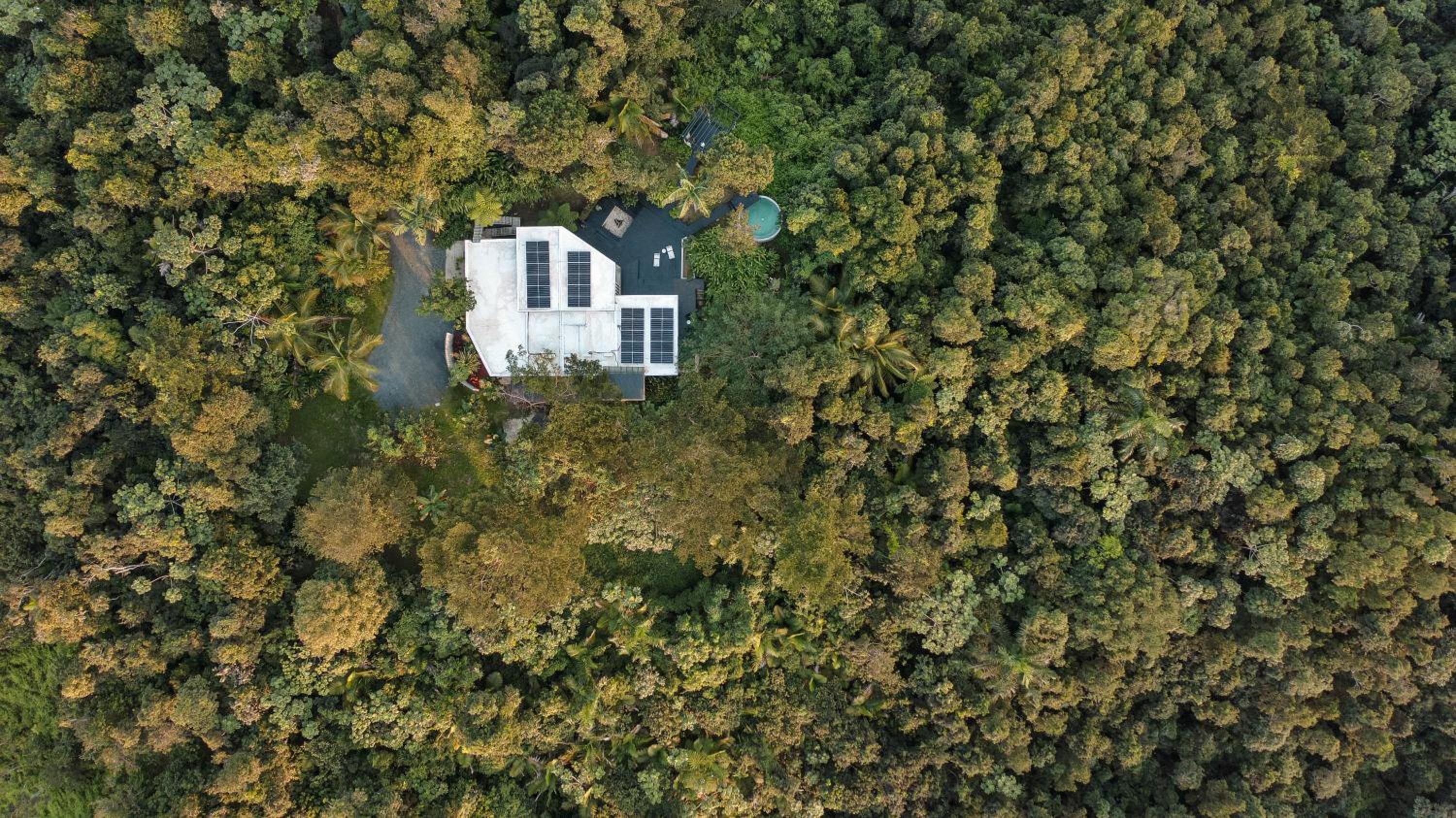 SELVA by DW view 4