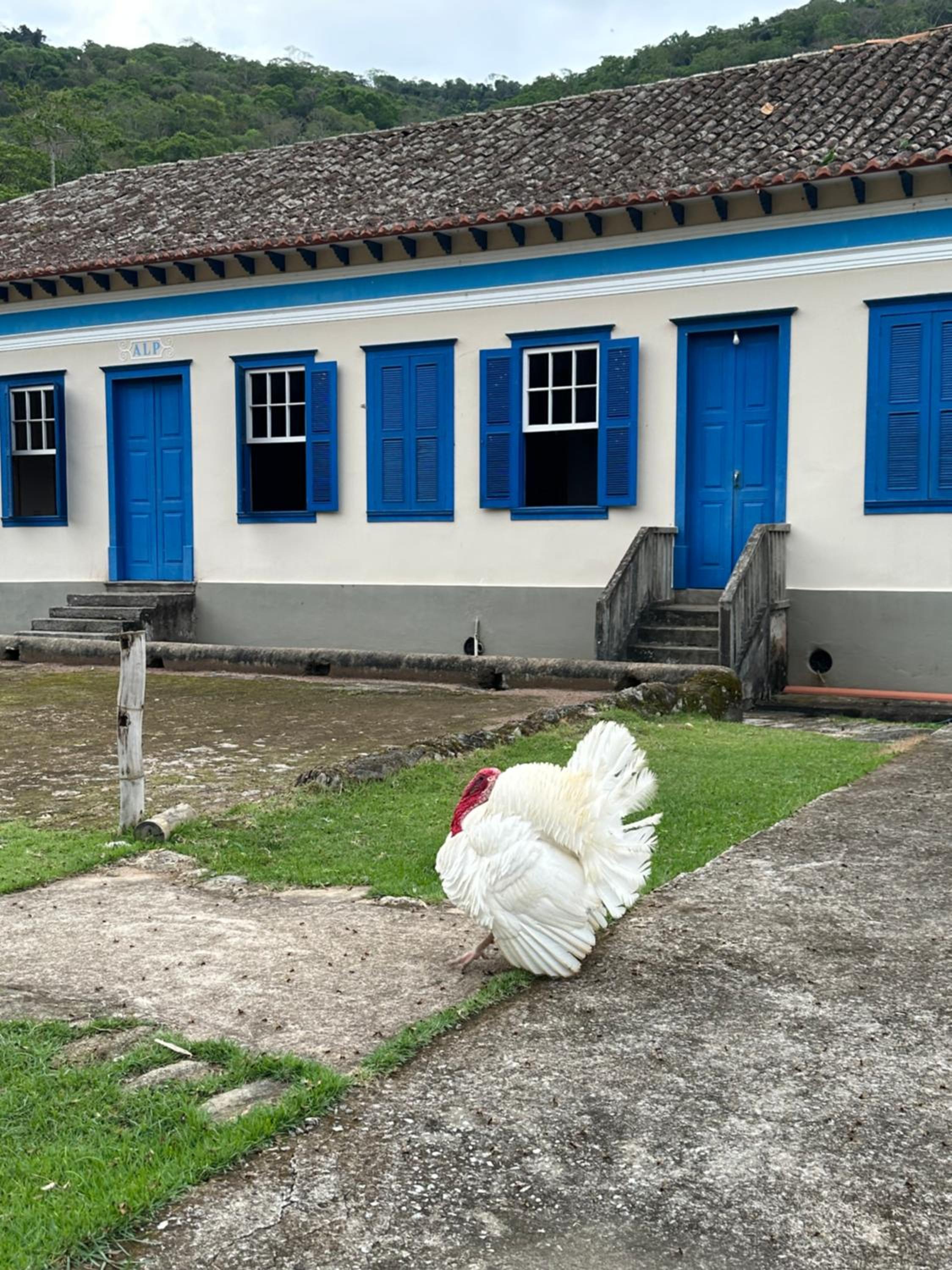 Fazenda Penedo view 2