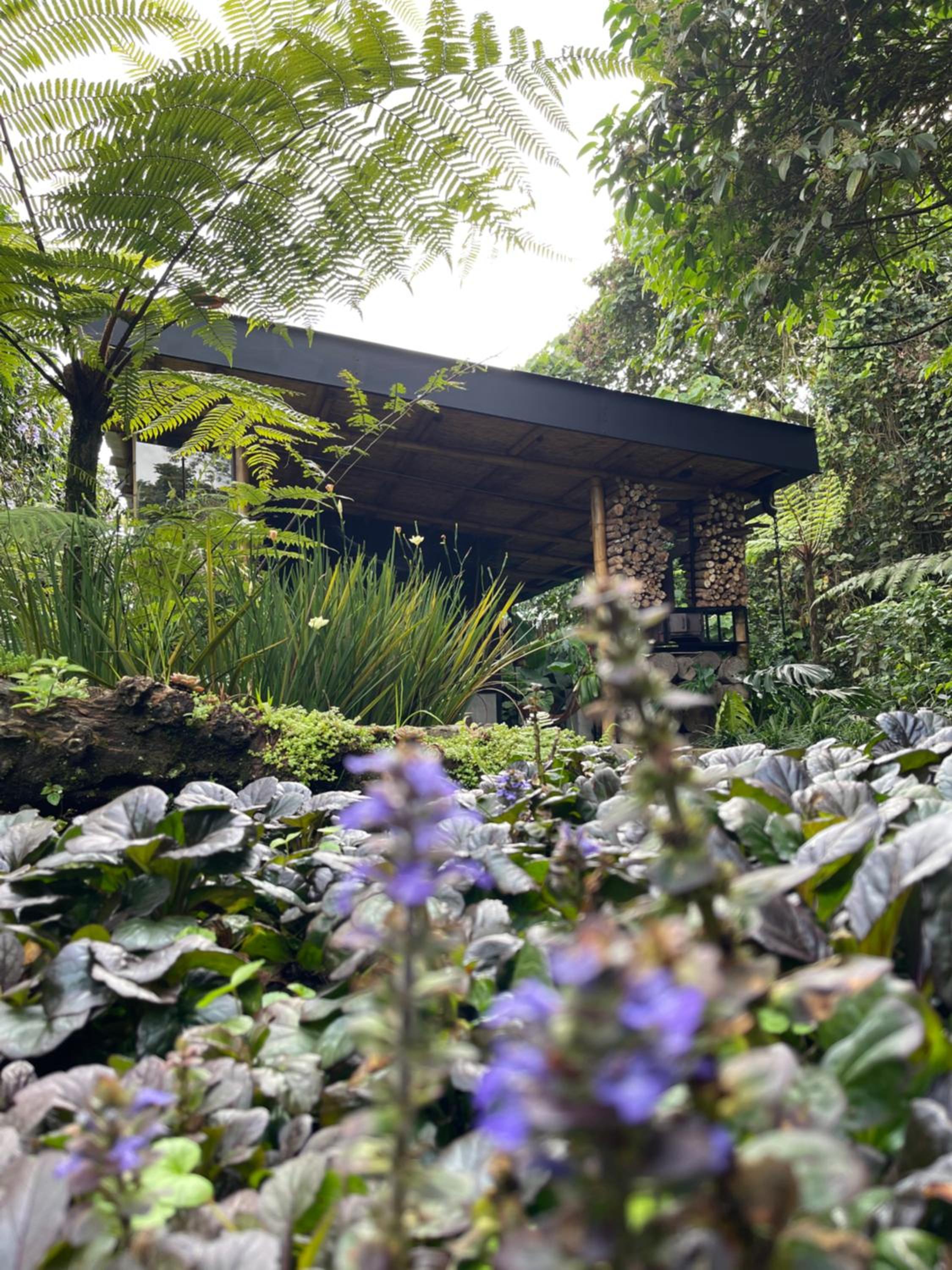 Element Quindío