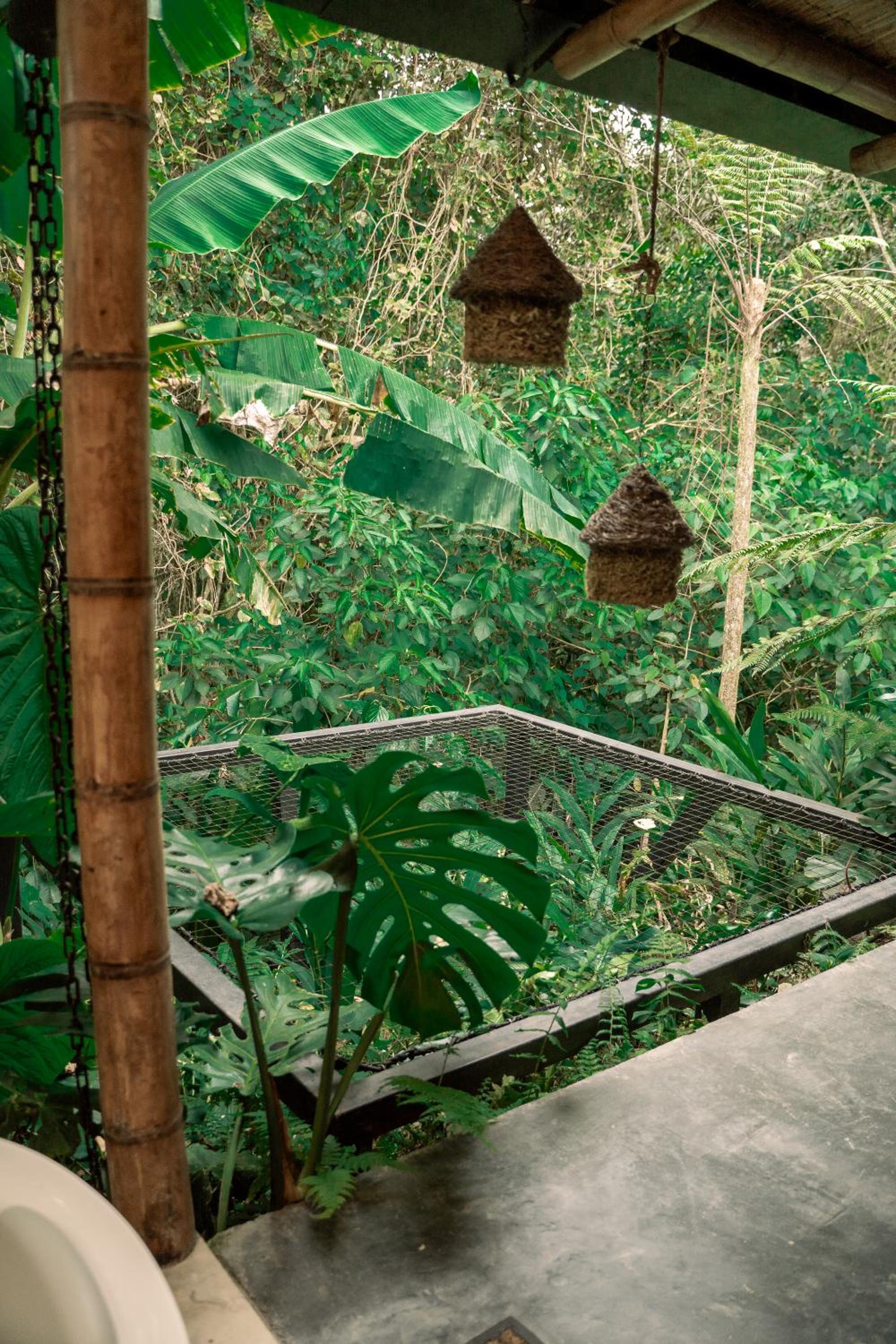 Element Quindío