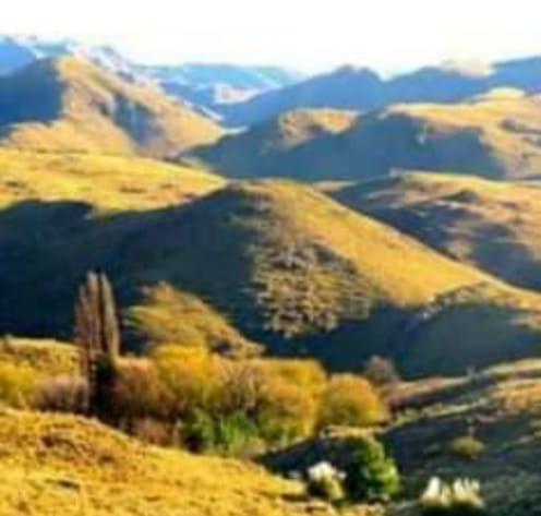 Raíces de la Estancia
