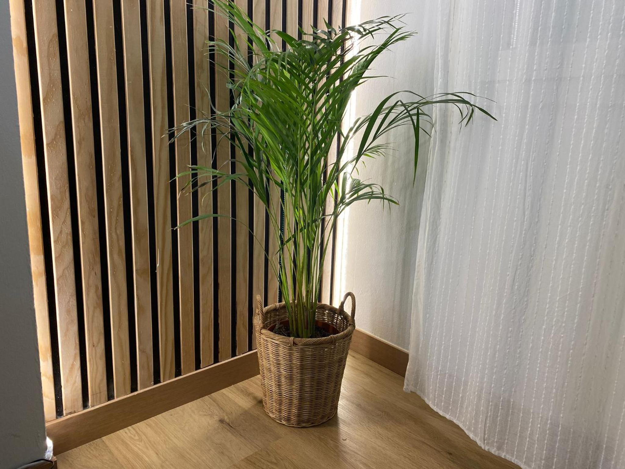 Apartamentos en Gascona Centro de Oviedo Apartastur26