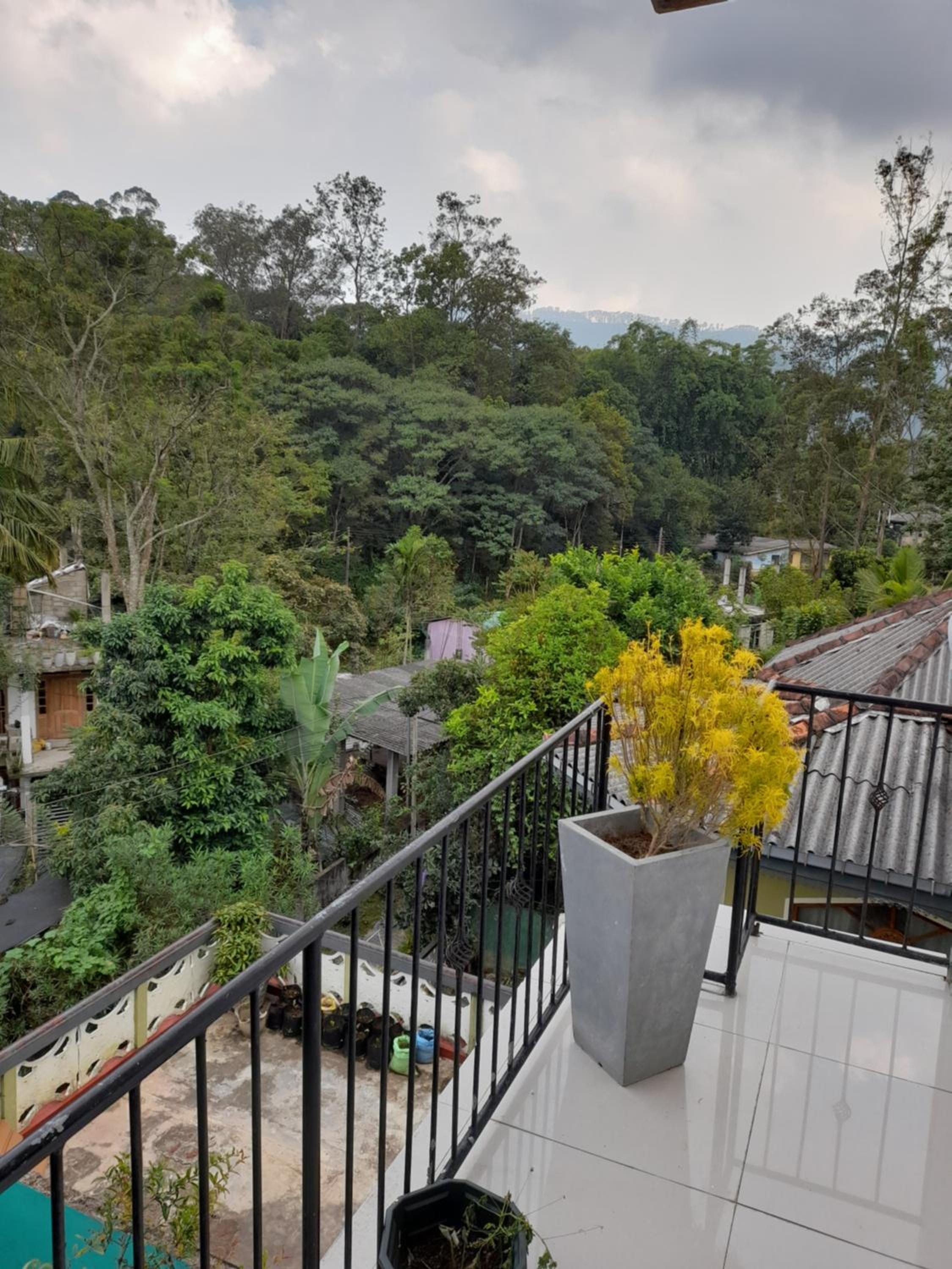 Photo 25