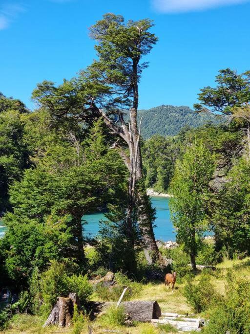 La Bella Patagonia Eco Lodge, Figueroa River