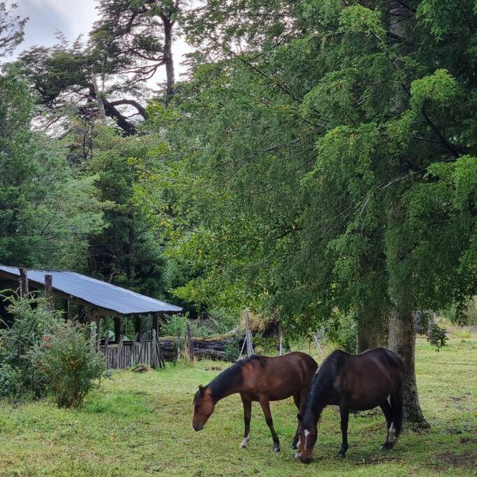 La Bella Patagonia Eco Lodge, Figueroa River