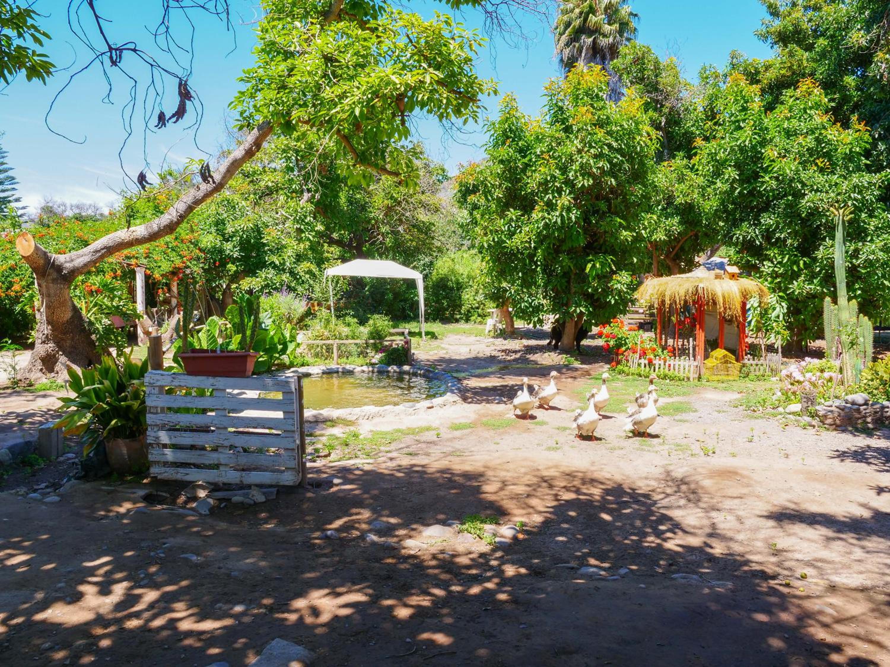 Alojamiento Rural Casa Quinta Peumayen