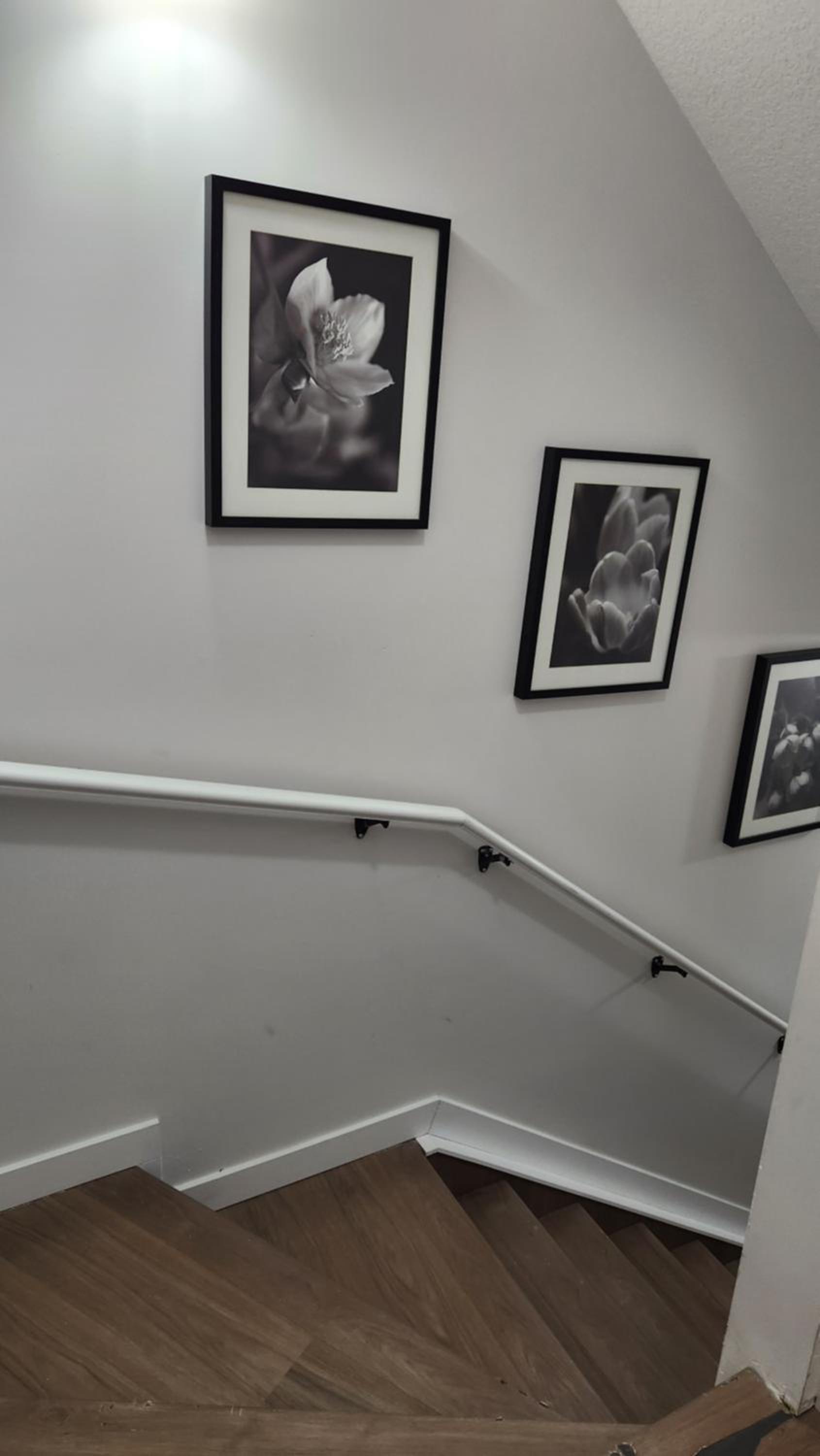Modern 2 Bedroom Basement Suite at West Edmonton