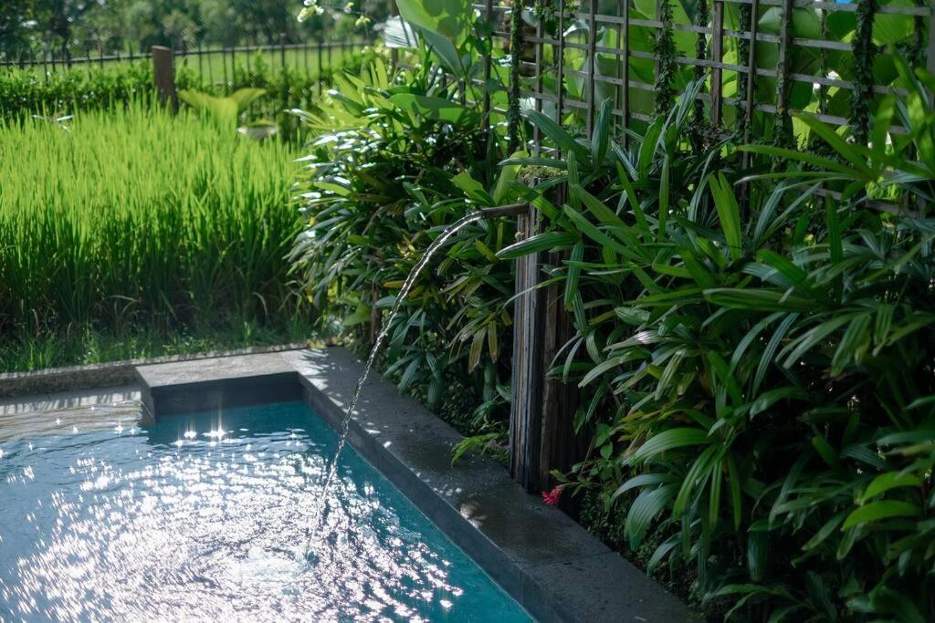 Dukuh Ubud 2BR Mountain & Ricefield View #4 view 3
