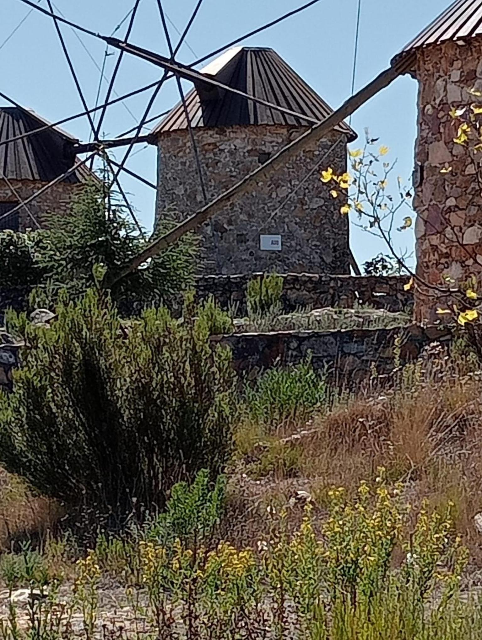 A Casa Amarela Guest room view 4