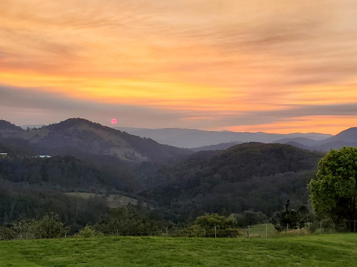 Arcadia Views