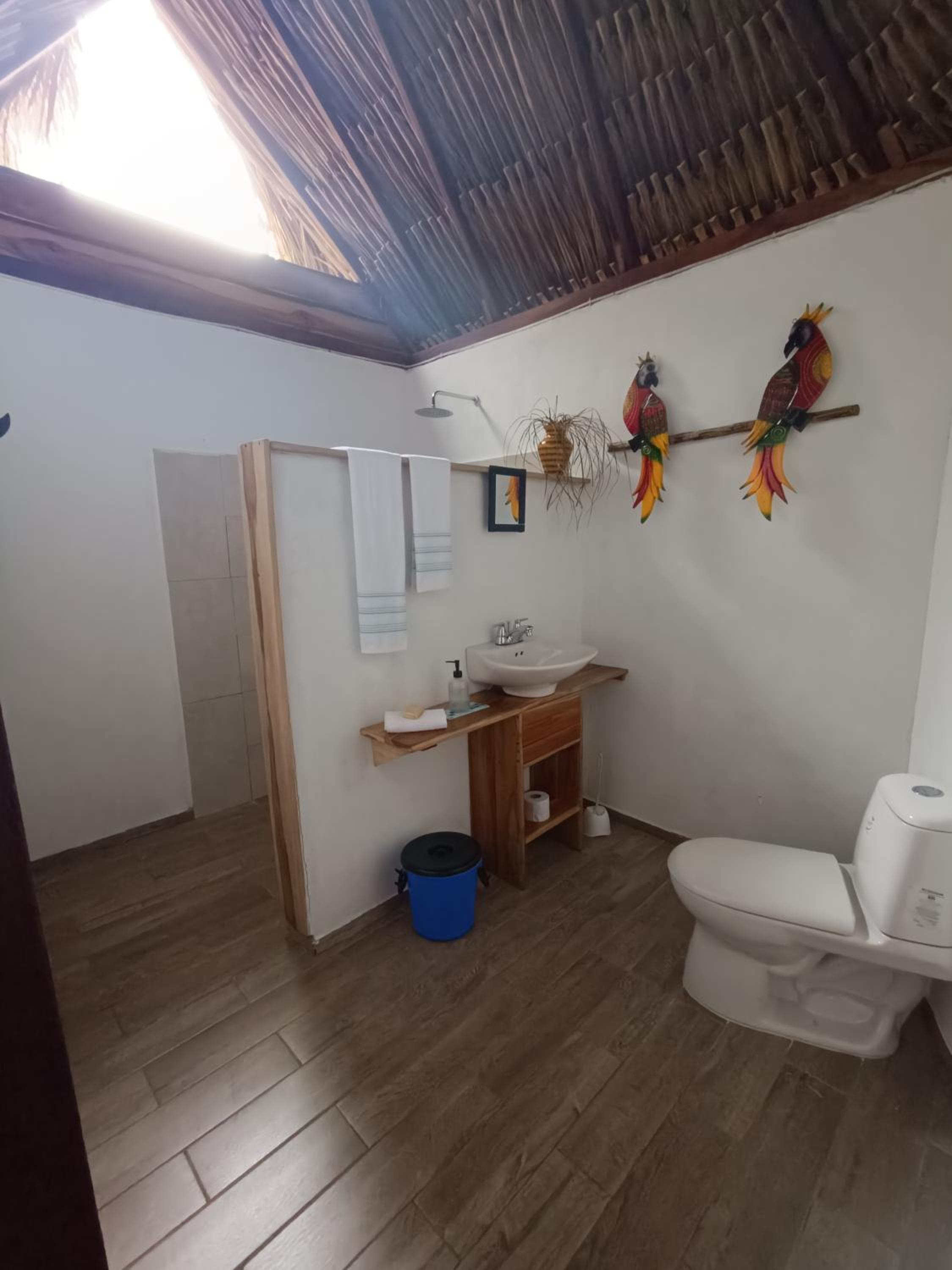 El Paraiso de Carmen