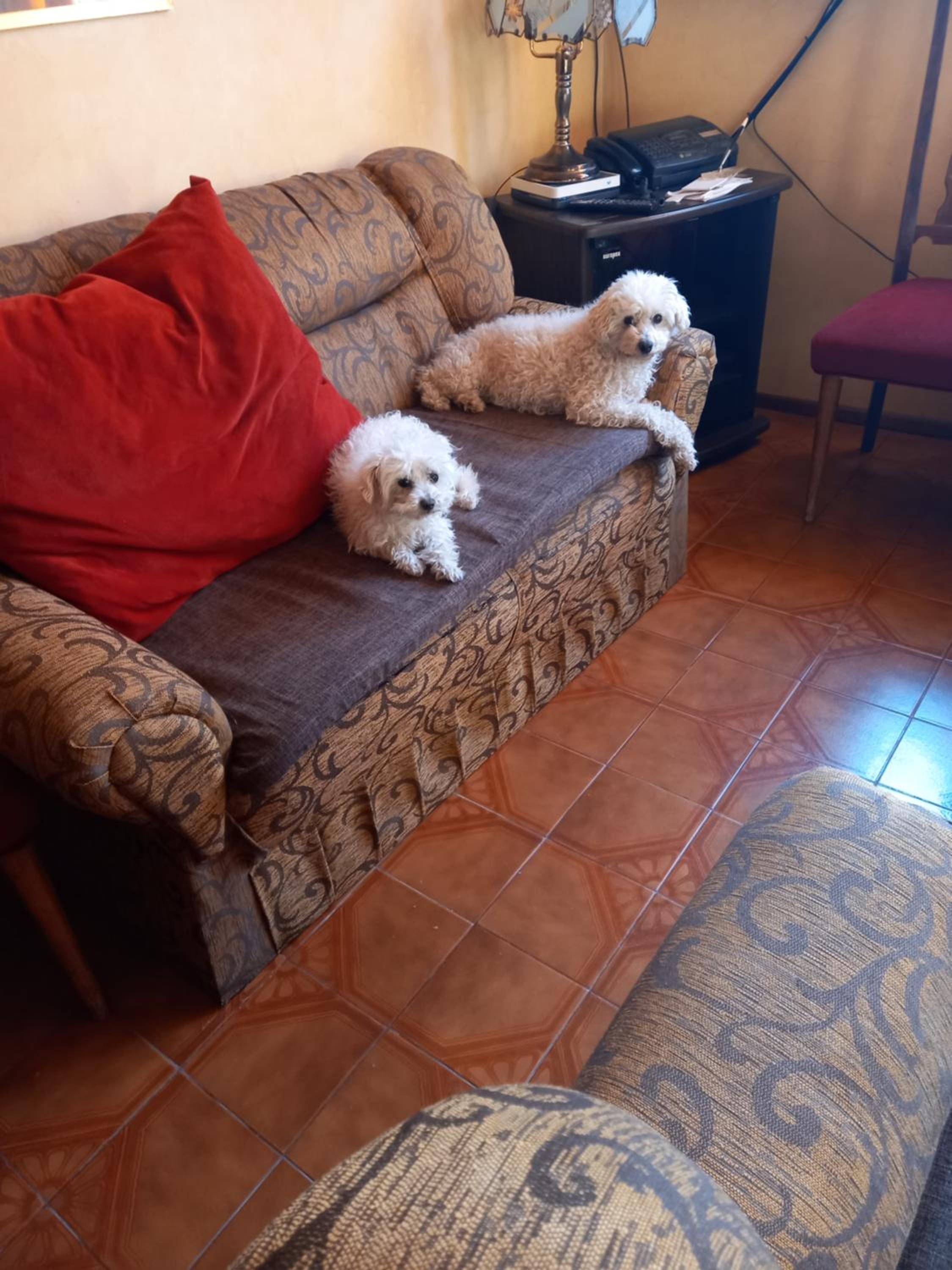 Mi nido