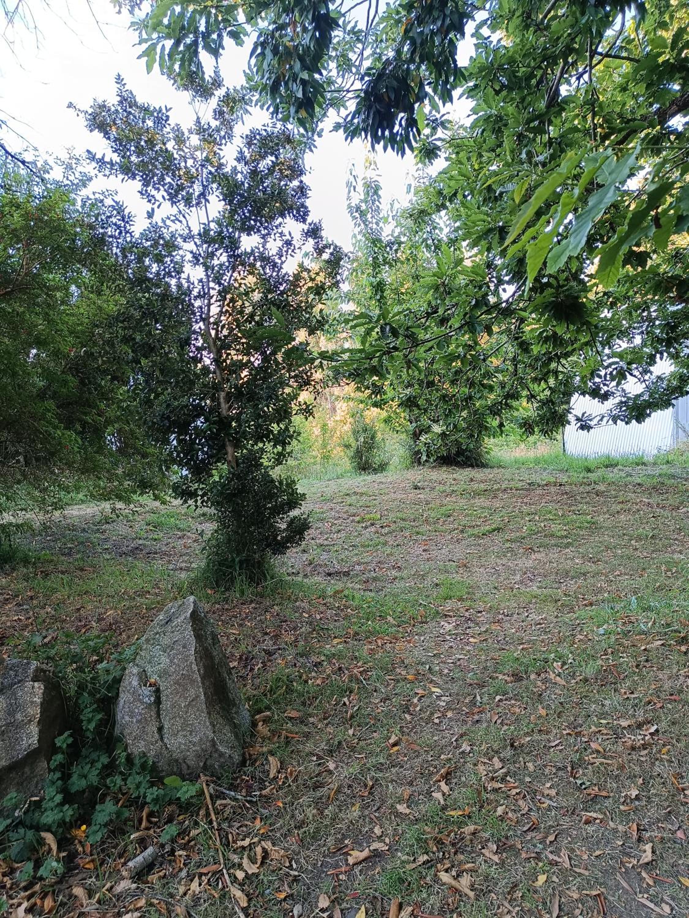 El Castaño