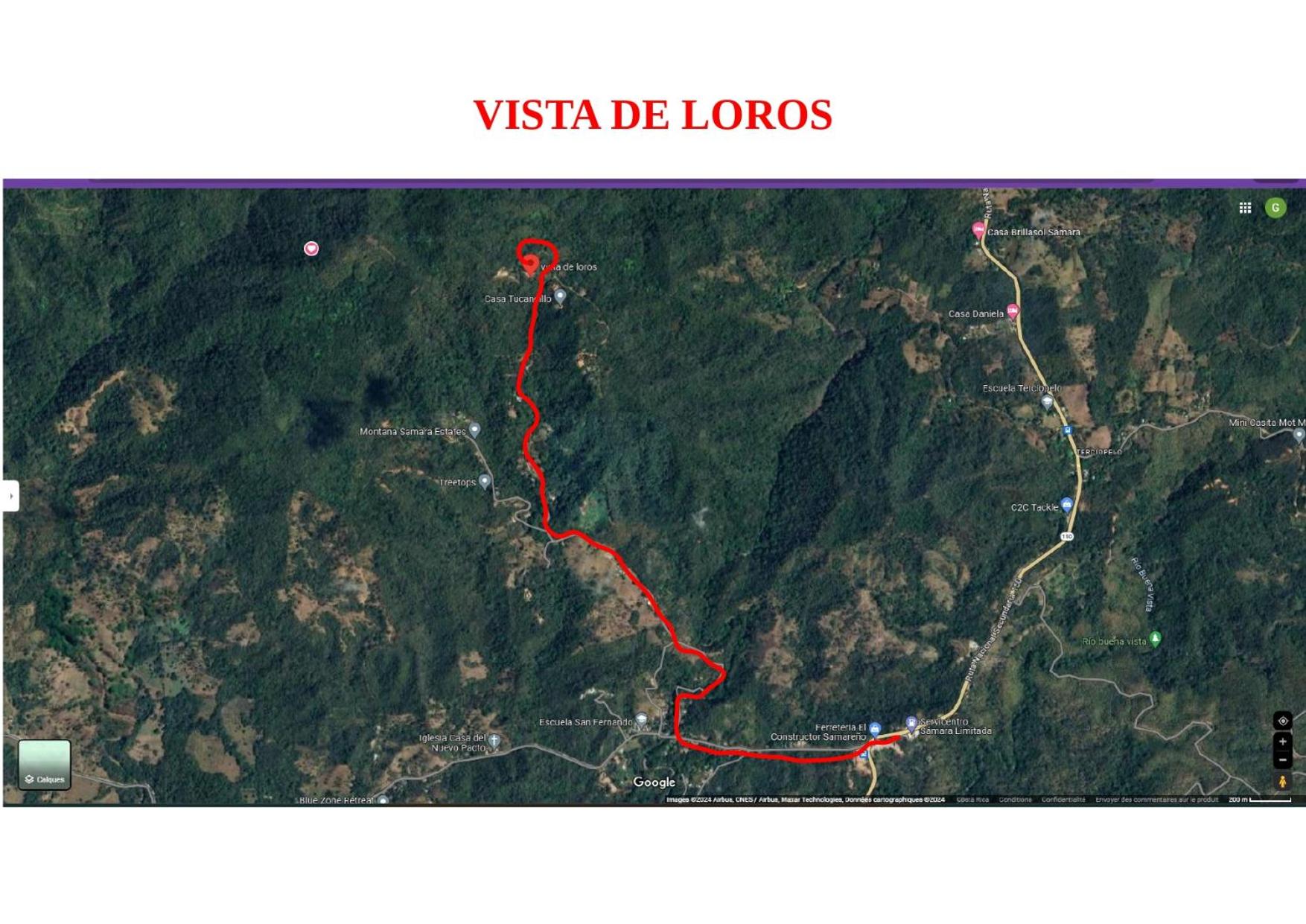 Vista Mar y Monos