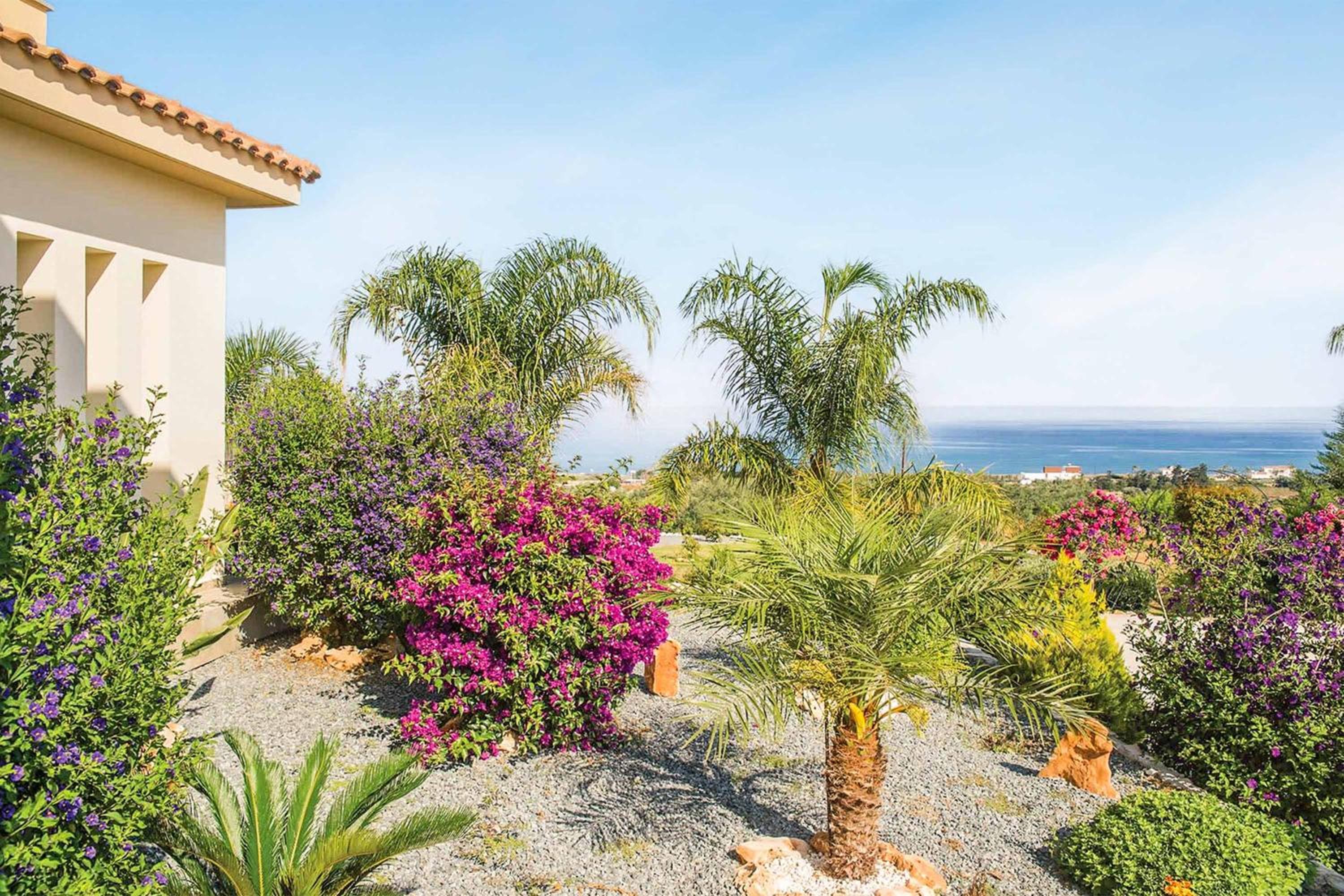Freedom Villa