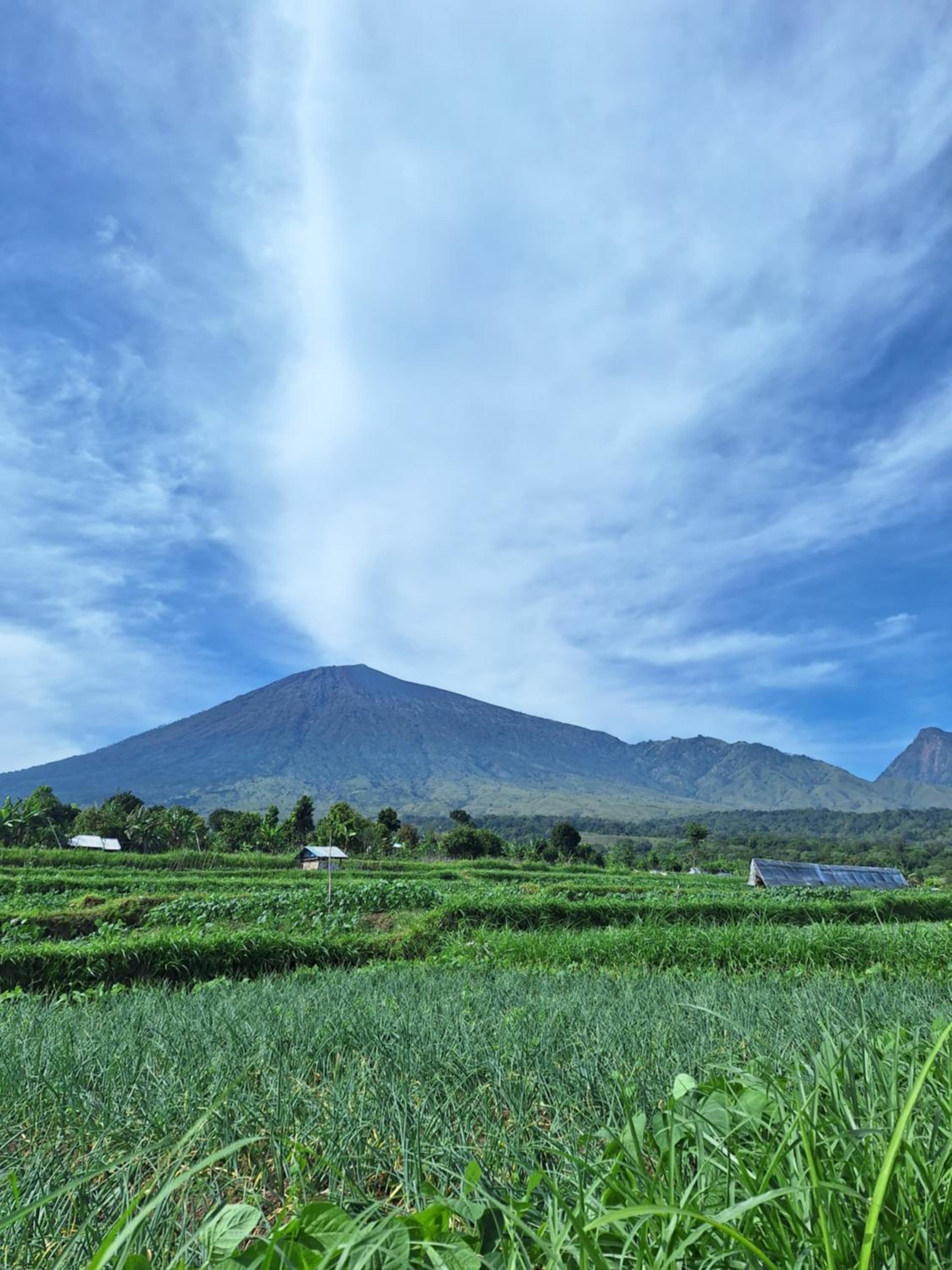Family rinjani bungalow view 4