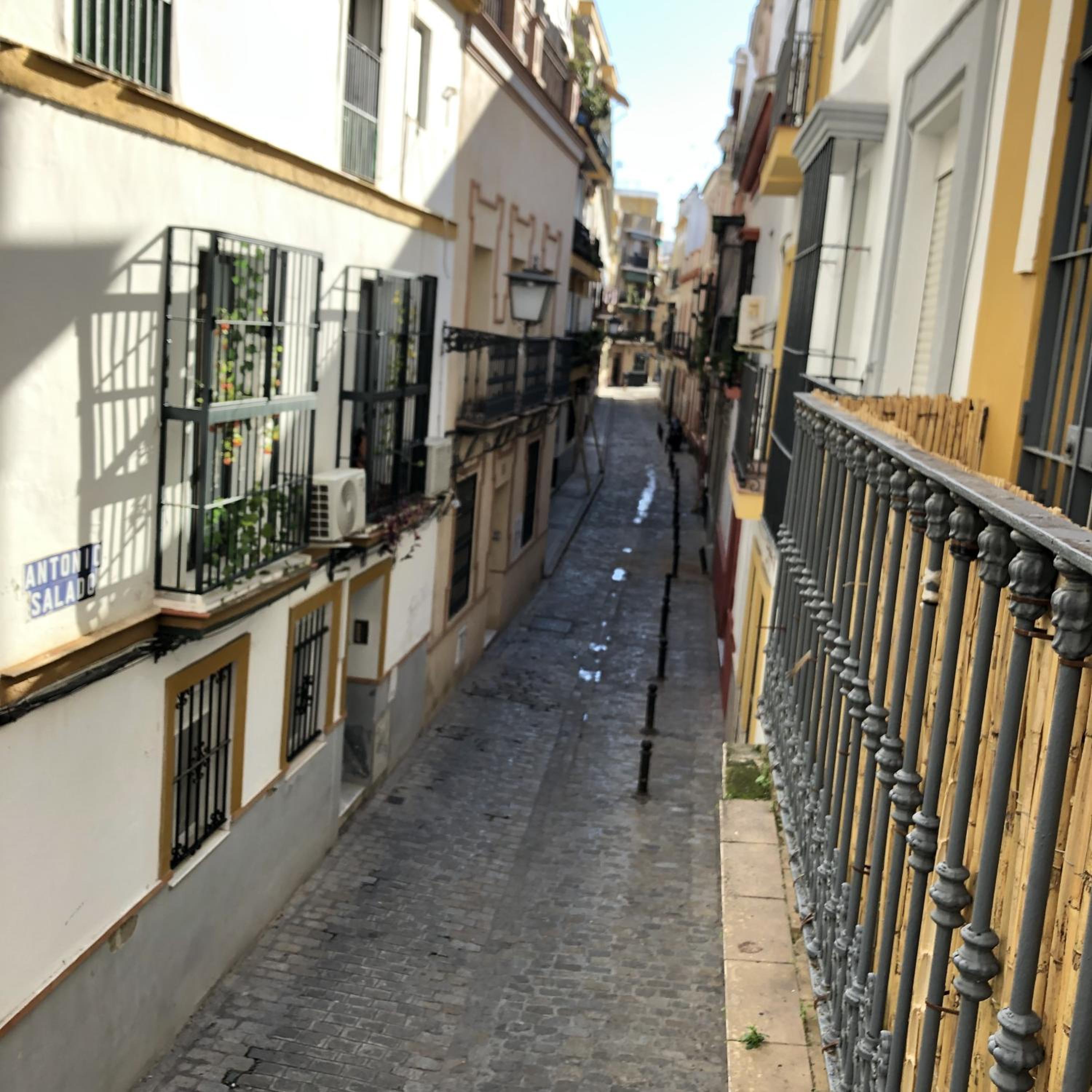 Apartamentos Alfaqueque B