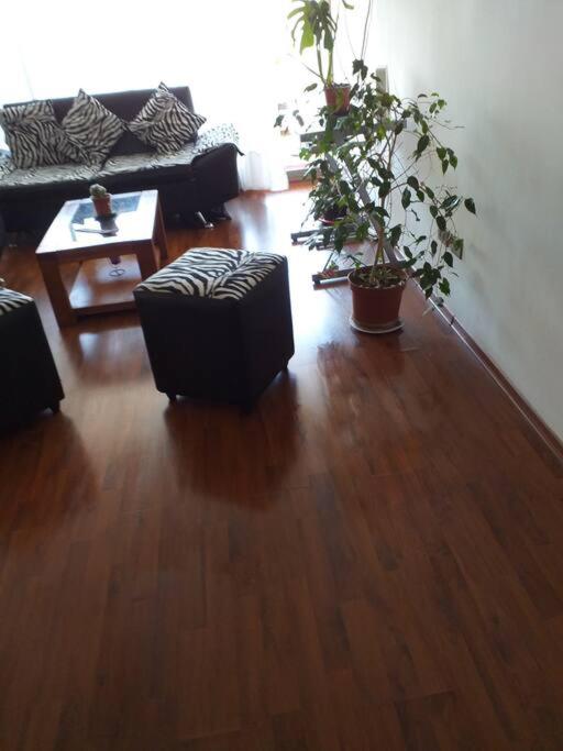 Grato y cómodo departamento.