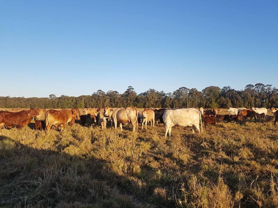 Blair Downs Farm Country Retreat