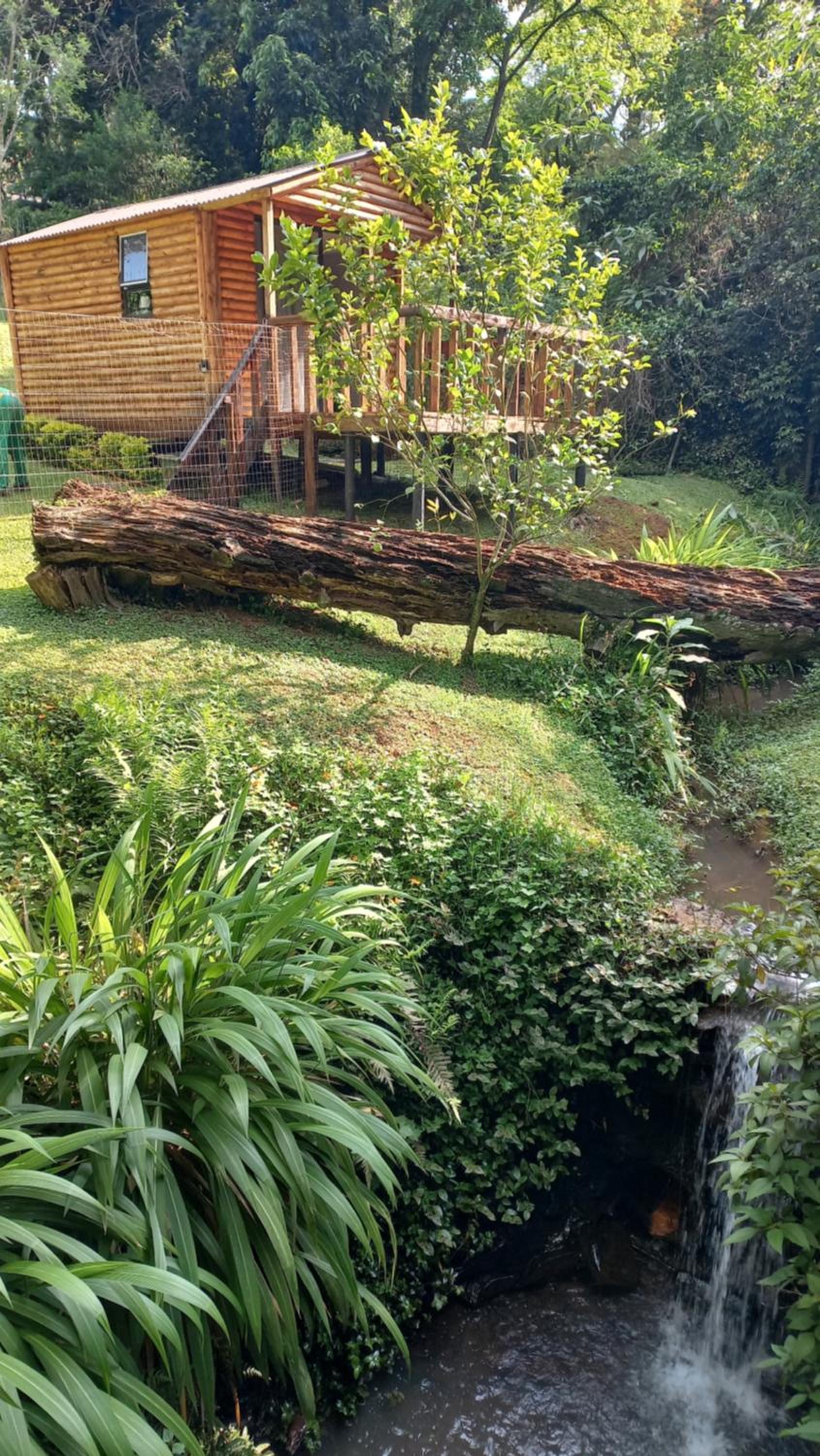 Family Glamping