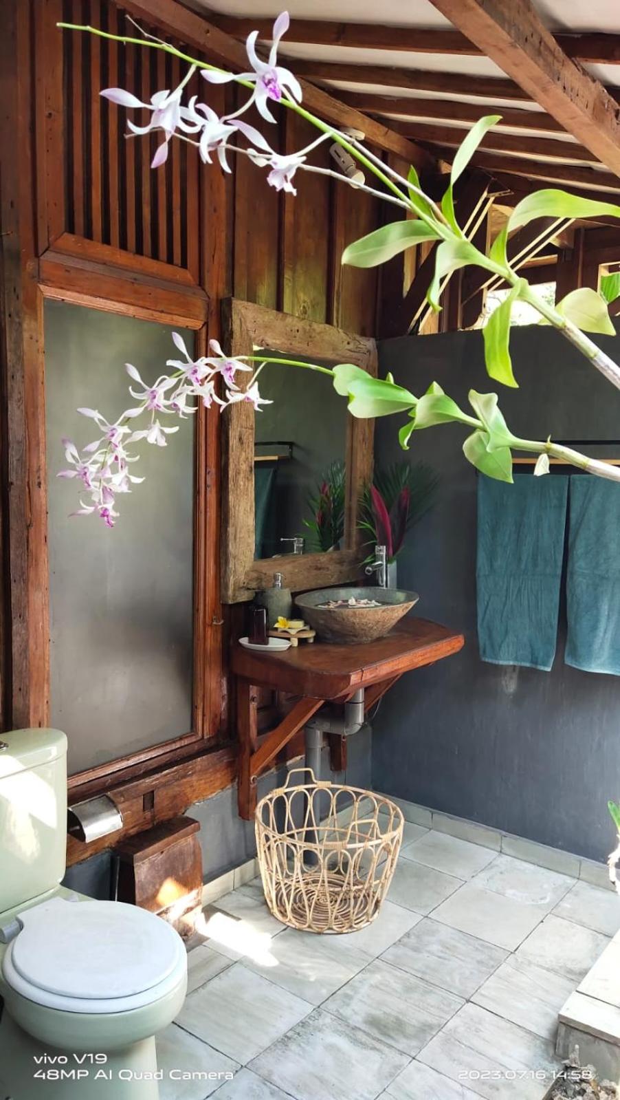 Alaya Ecolodge