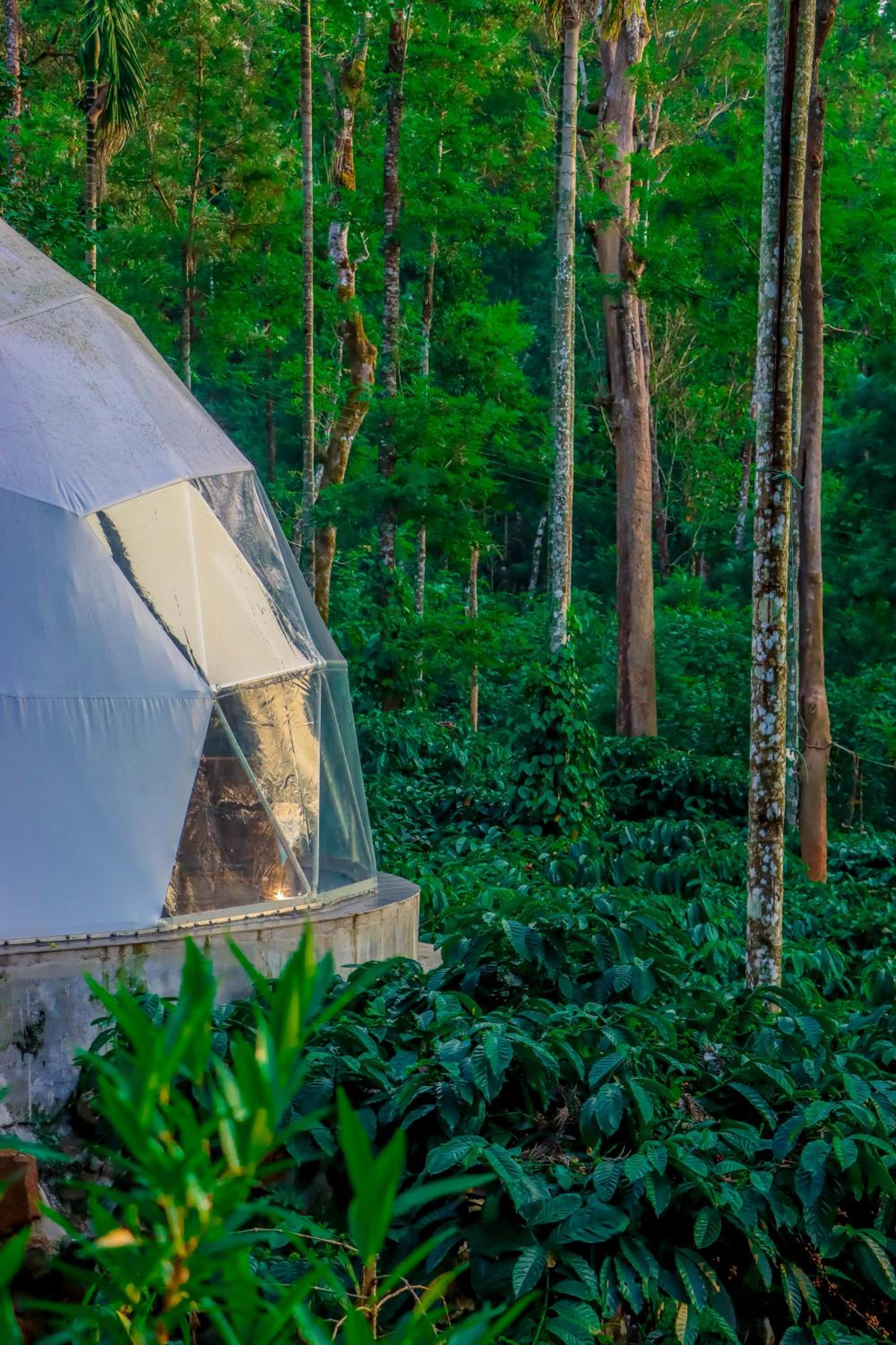 GeoLux - Luxurious Geodesic Dome