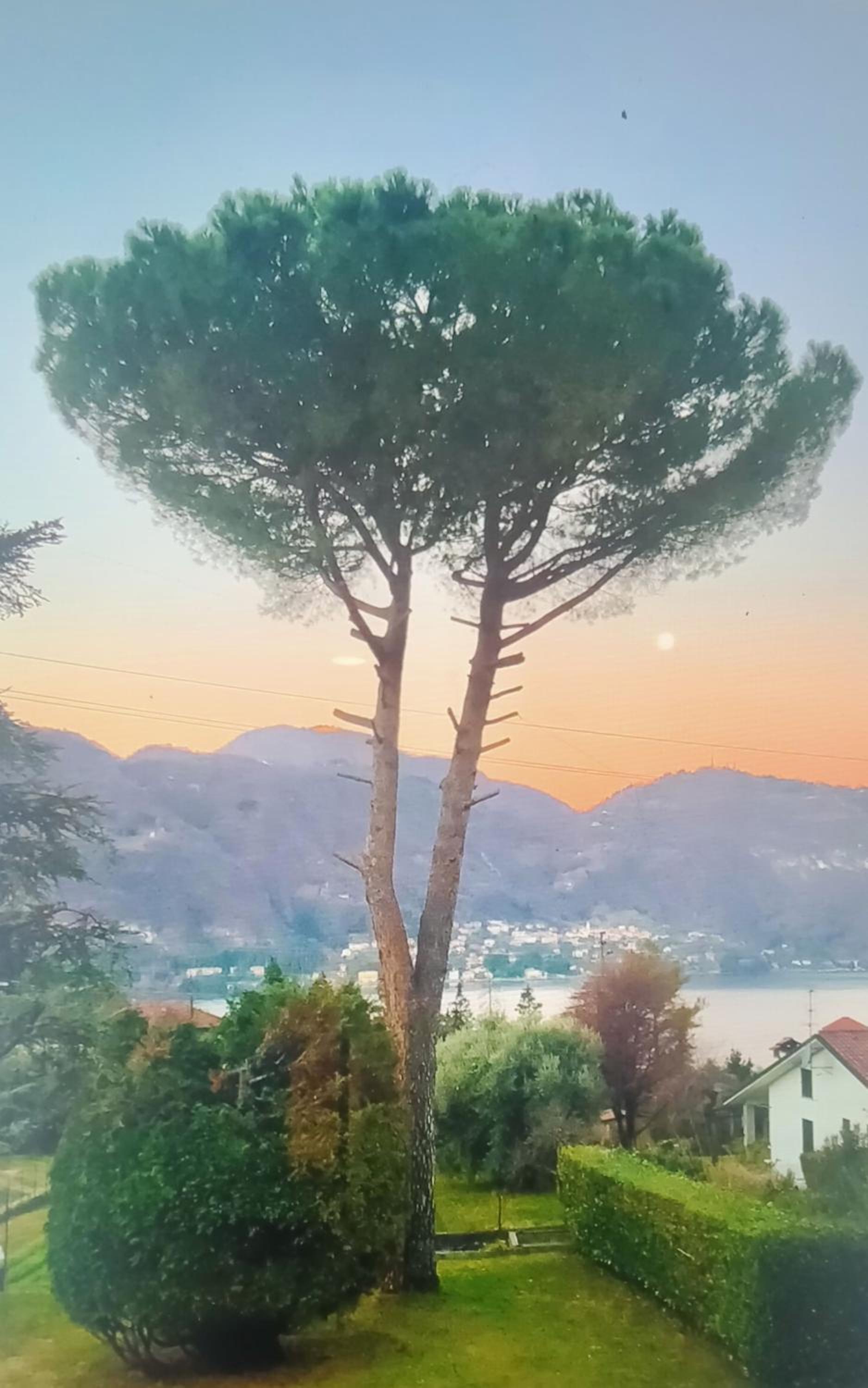 Villa Rosi