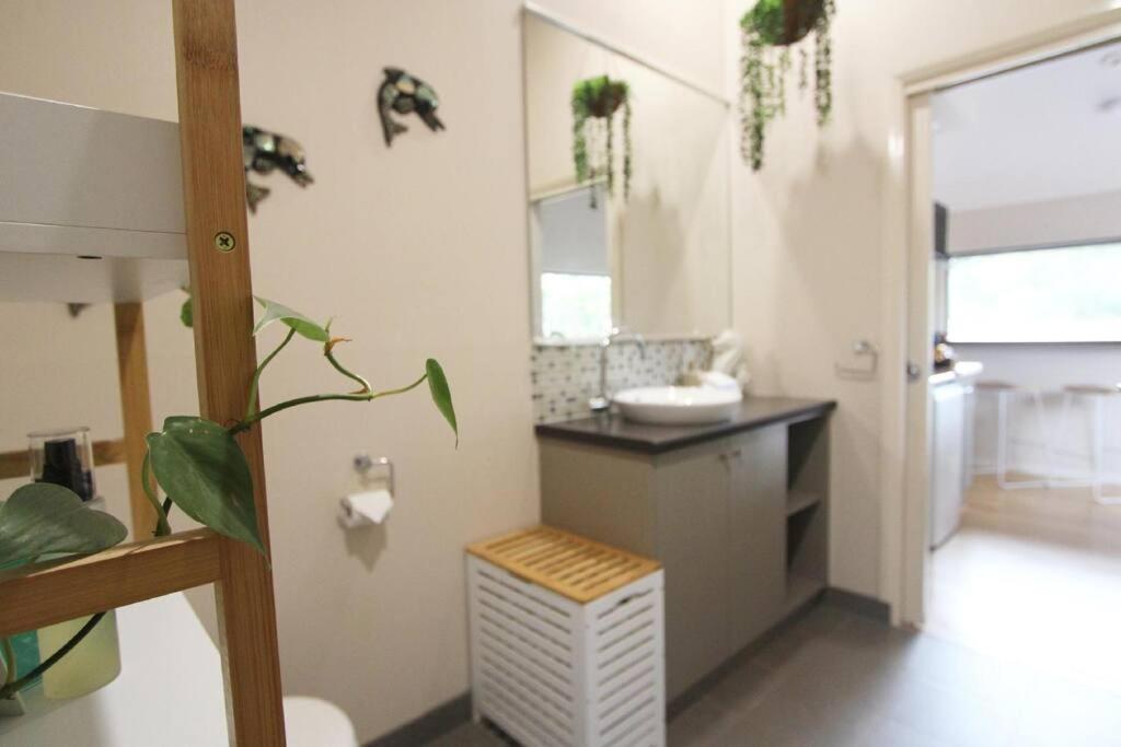 Dreamweaver Studio - town forest retreat