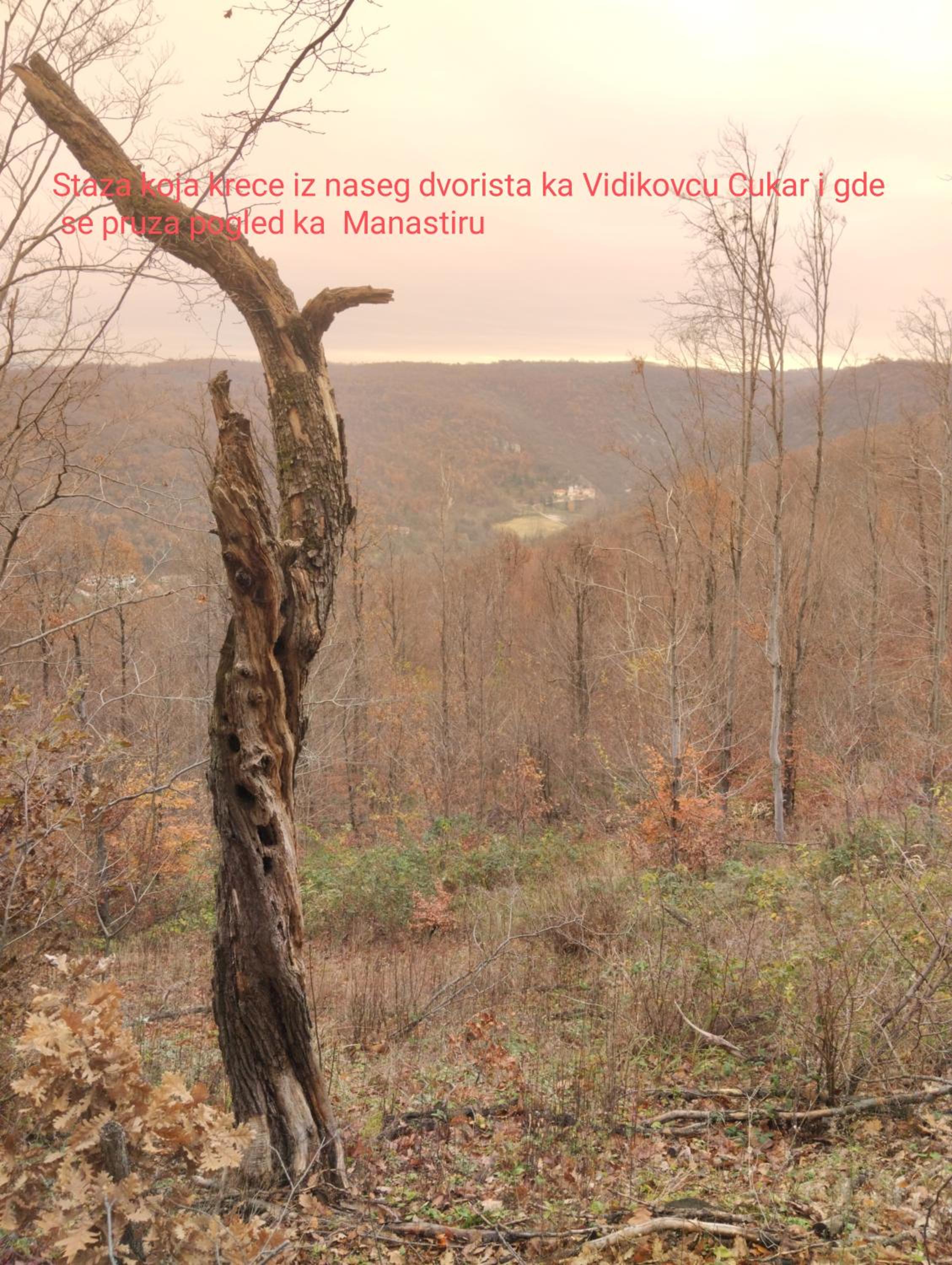 Vitovnicki Mir