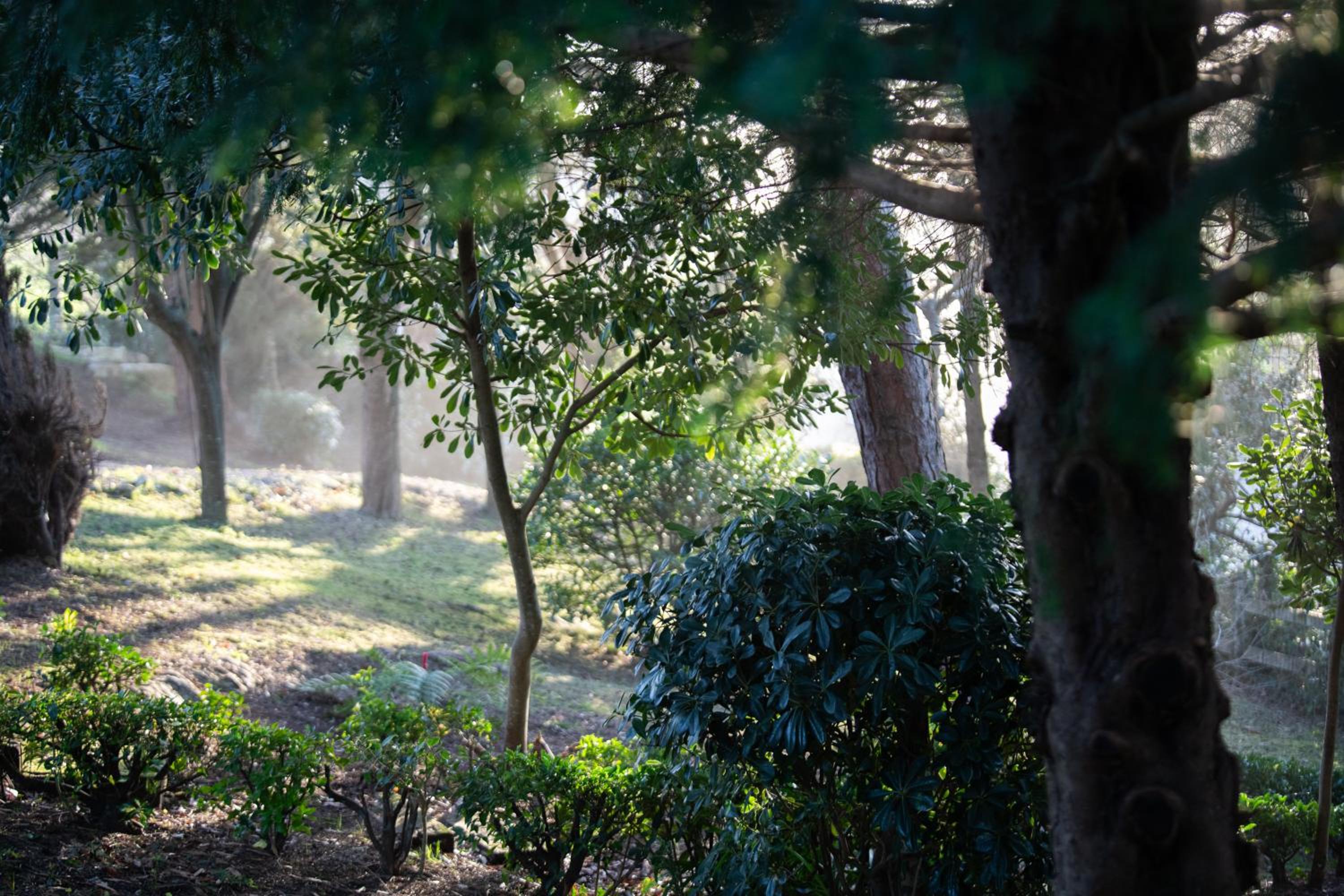 Apartamentos Garden Rock