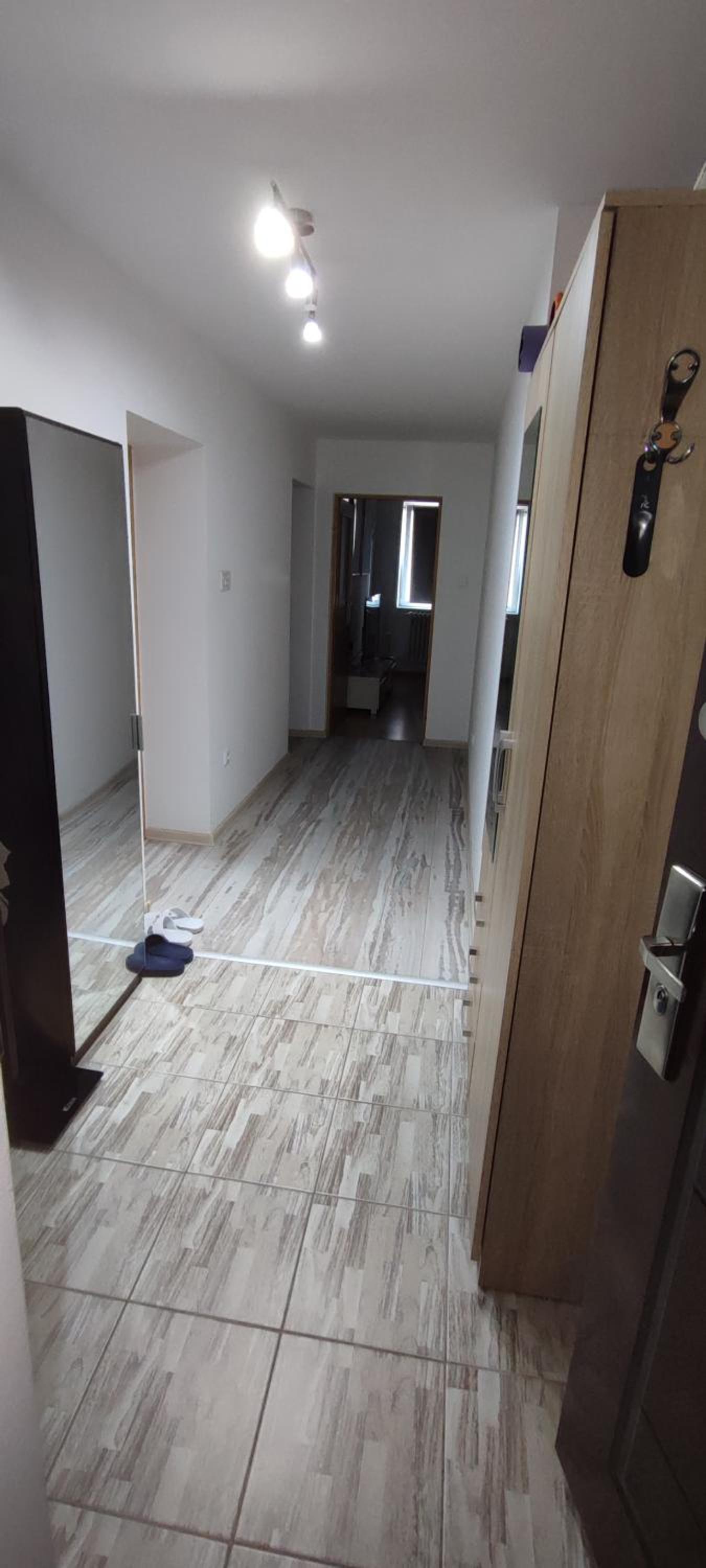 Mokusnice