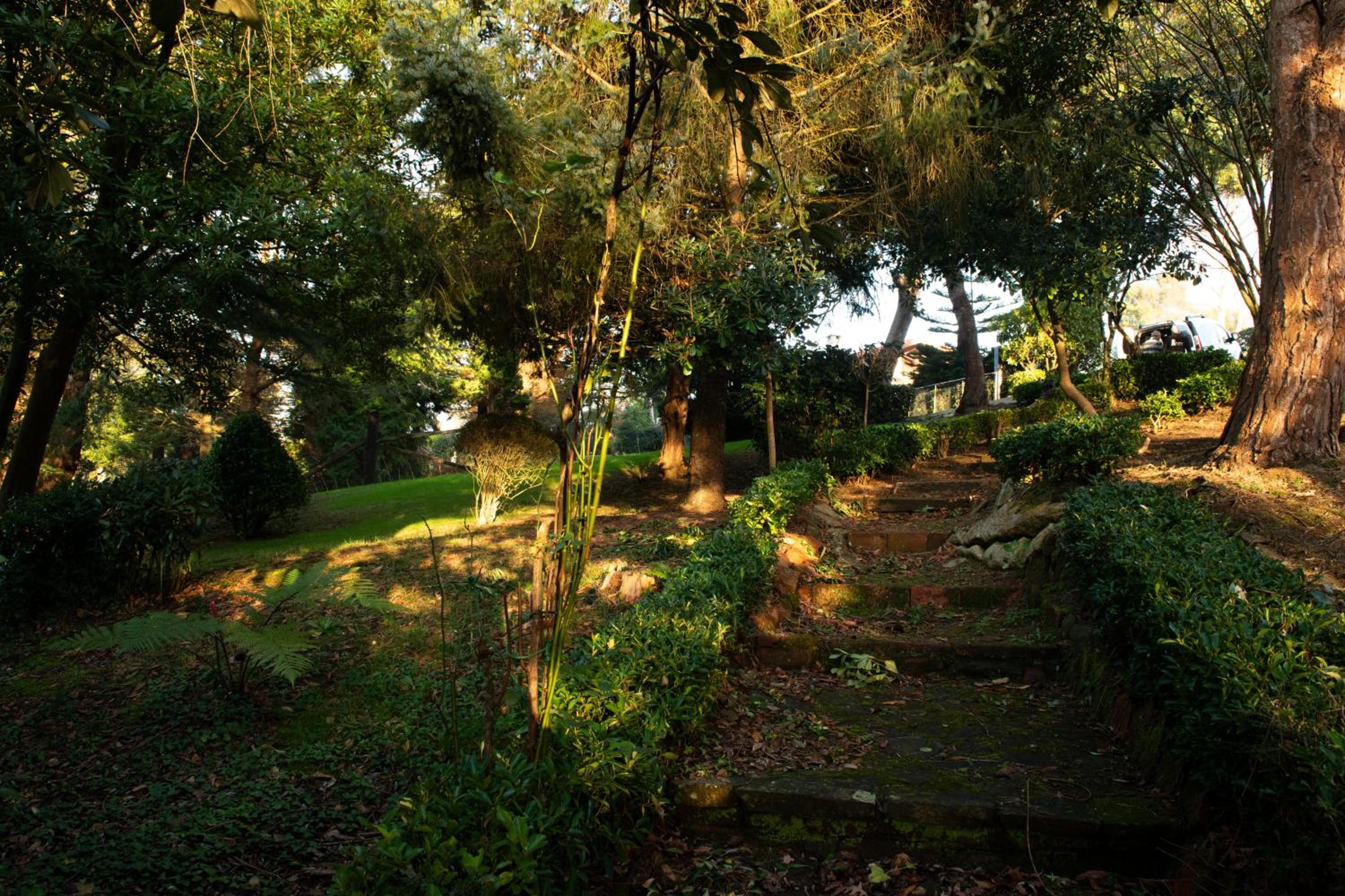 Apartamentos Garden Rock