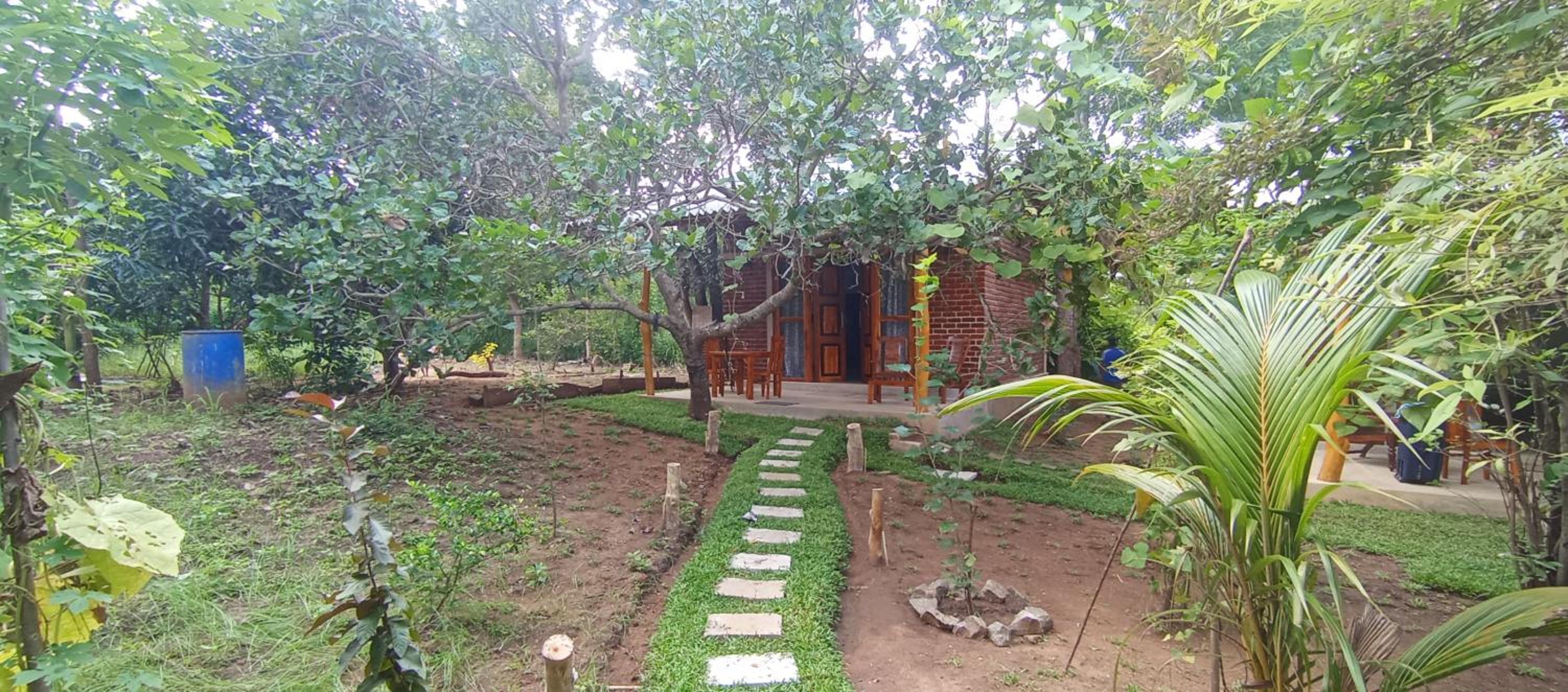 Wilpattu Wild Villa