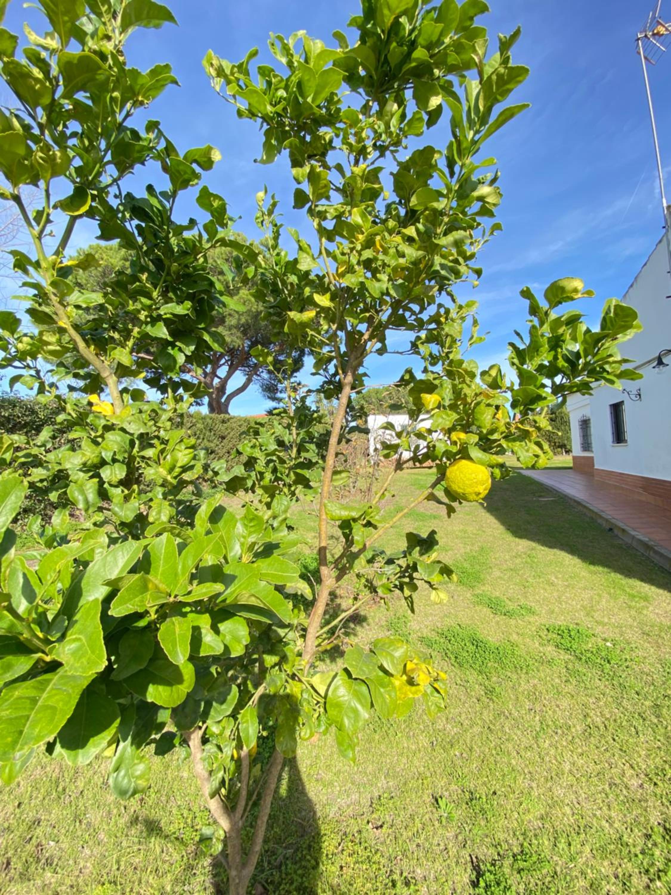 VILLA LÚA