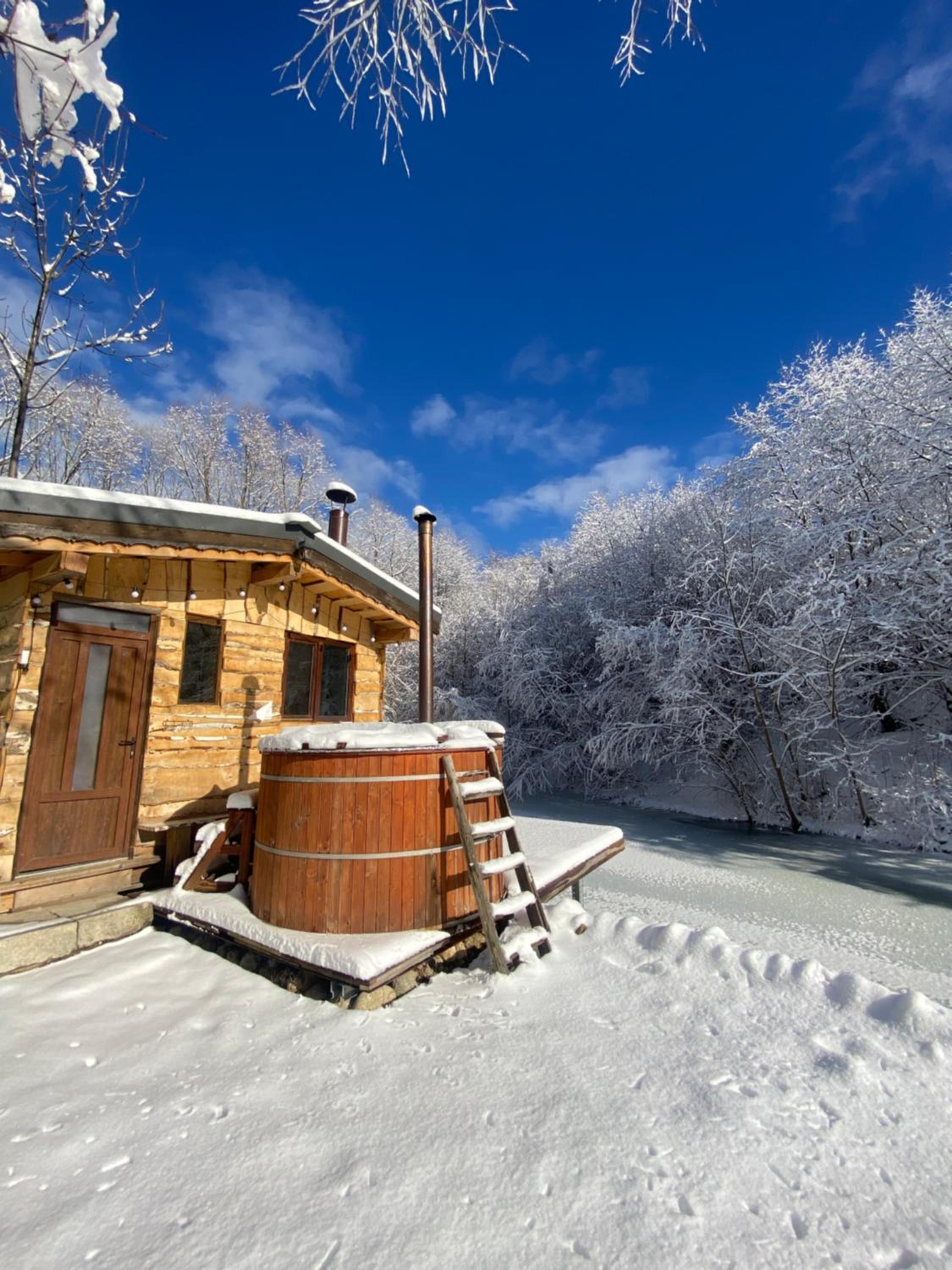 Cabana vânătorului view 4