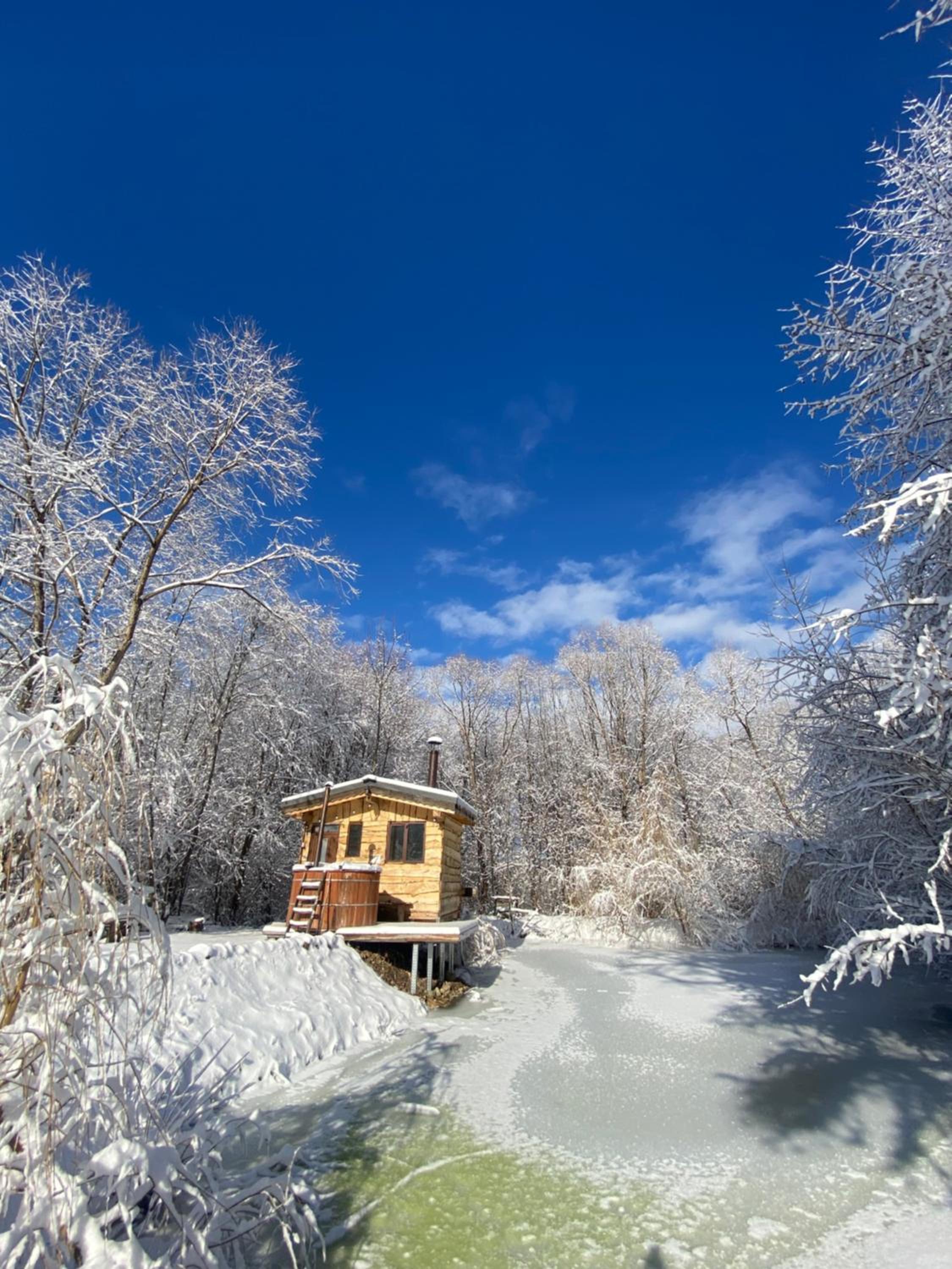 Cabana vânătorului view 3