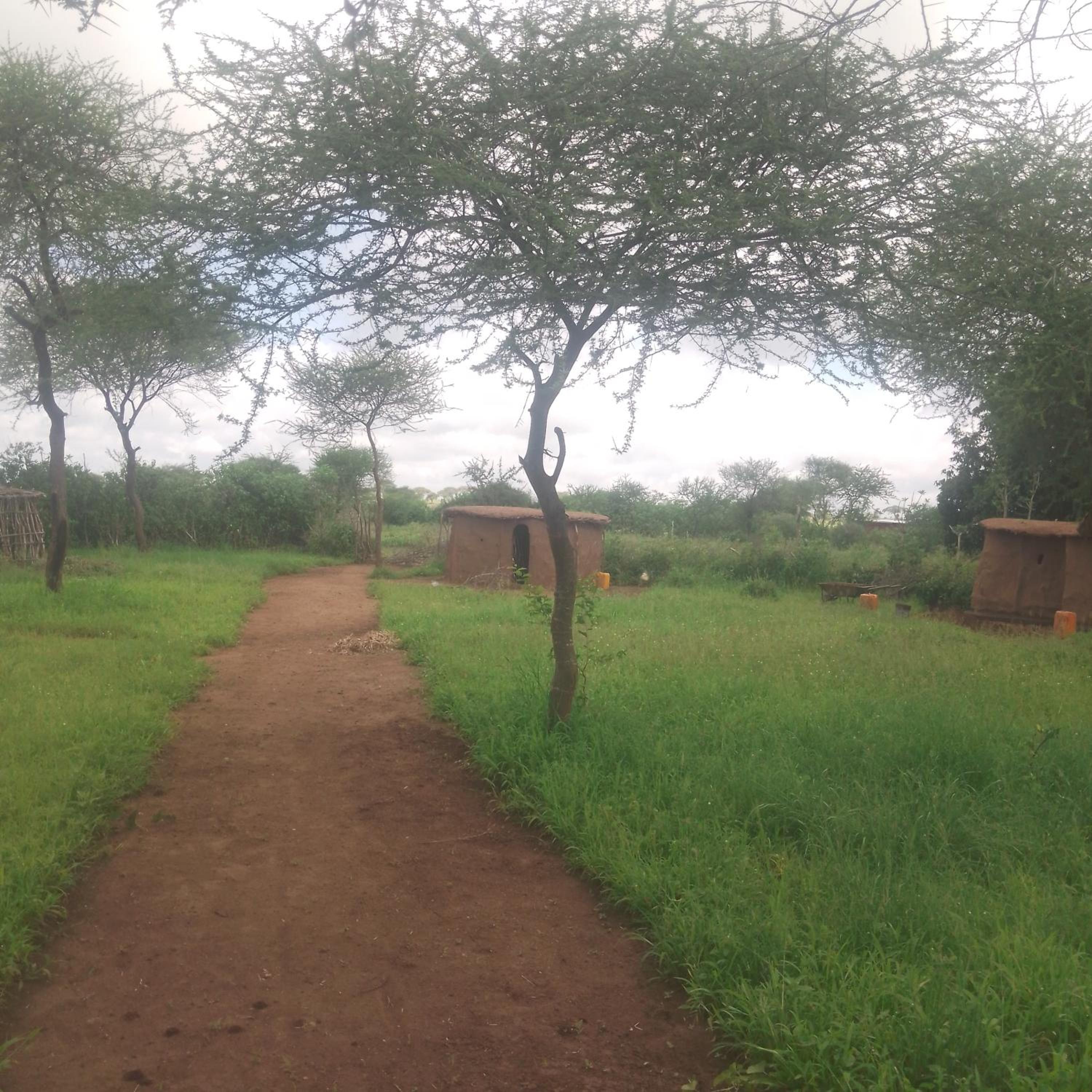 Osiligi Maasai Boma Simanjiro