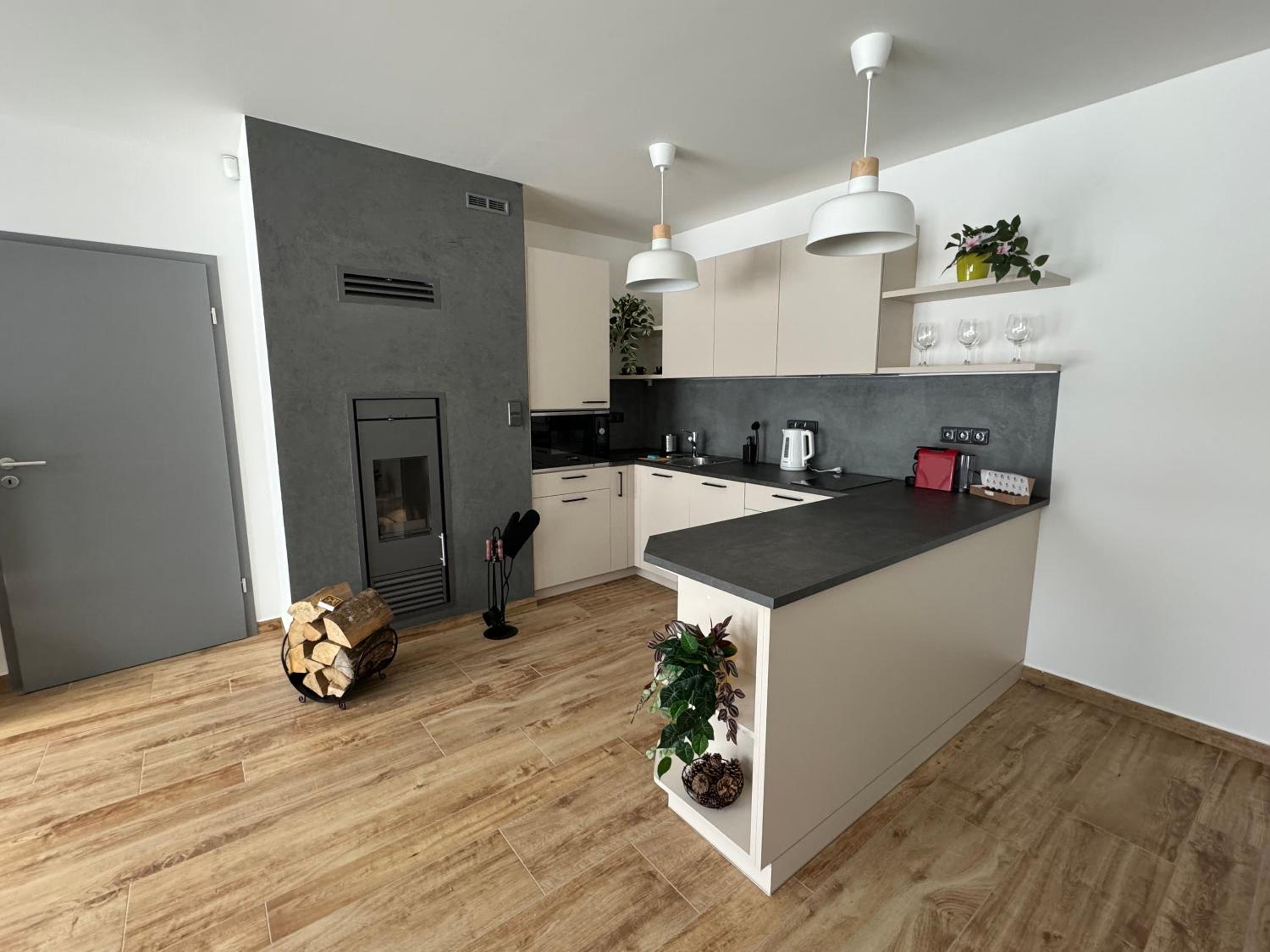 Apartmán U lesa