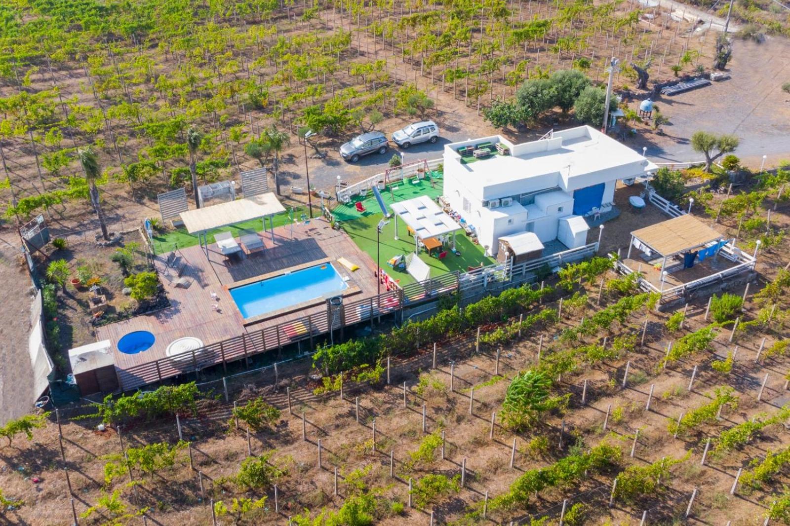 Tenuta sul Vesuvio " Il Vigneto "