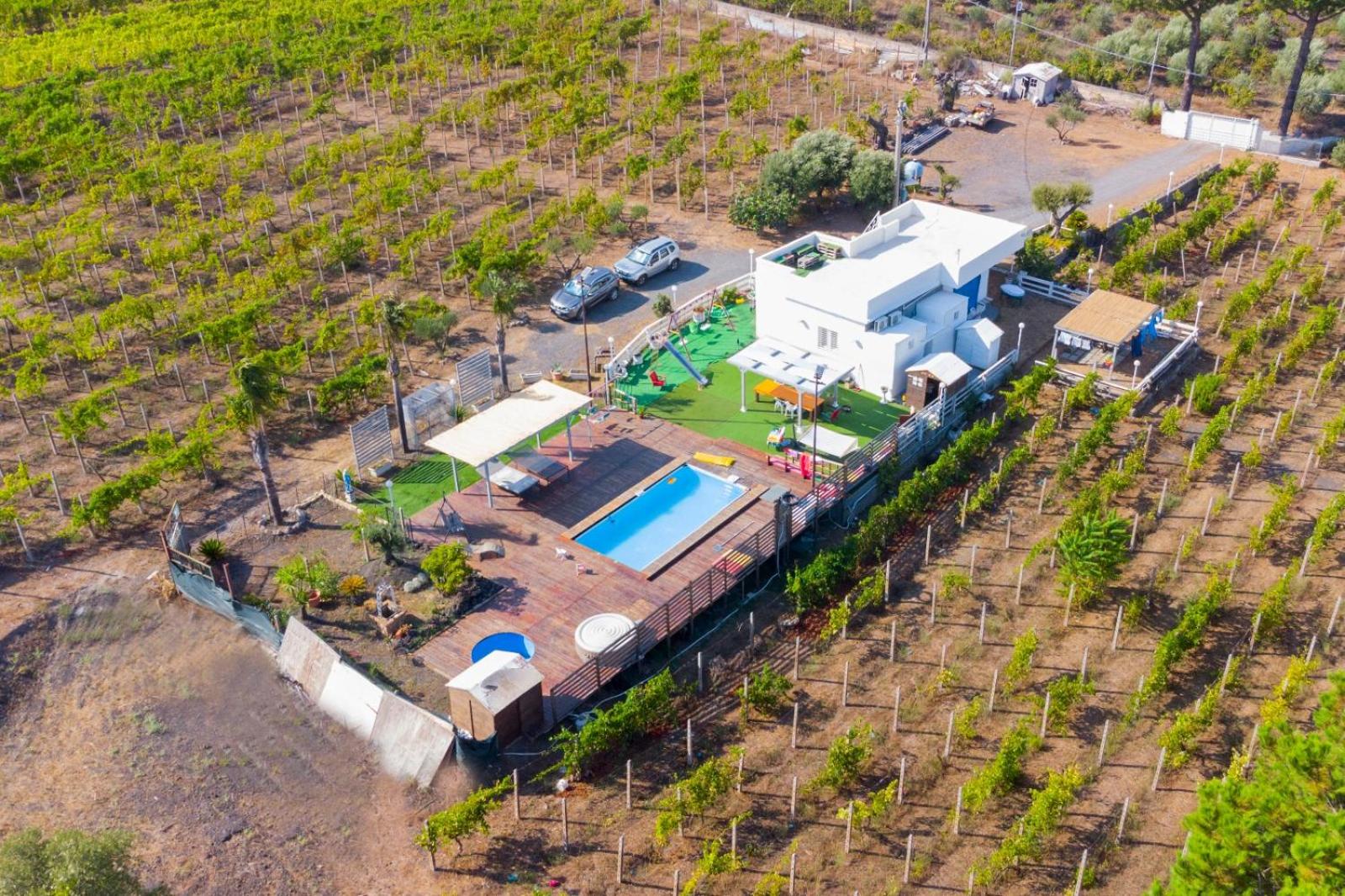 Tenuta sul Vesuvio " Il Vigneto "