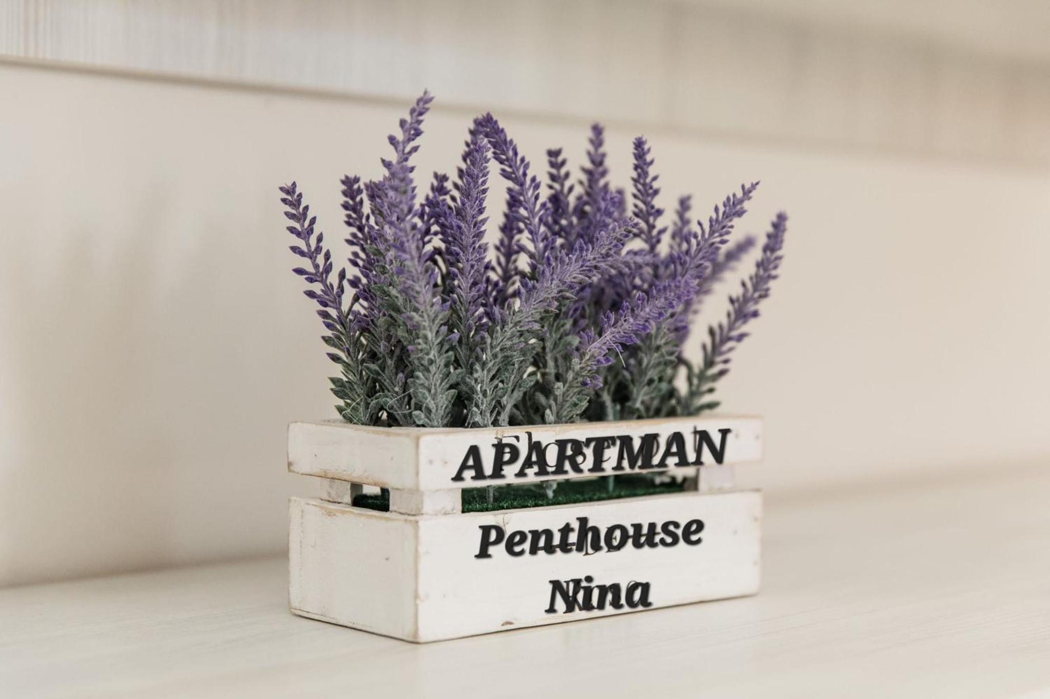 Penthouse Nina