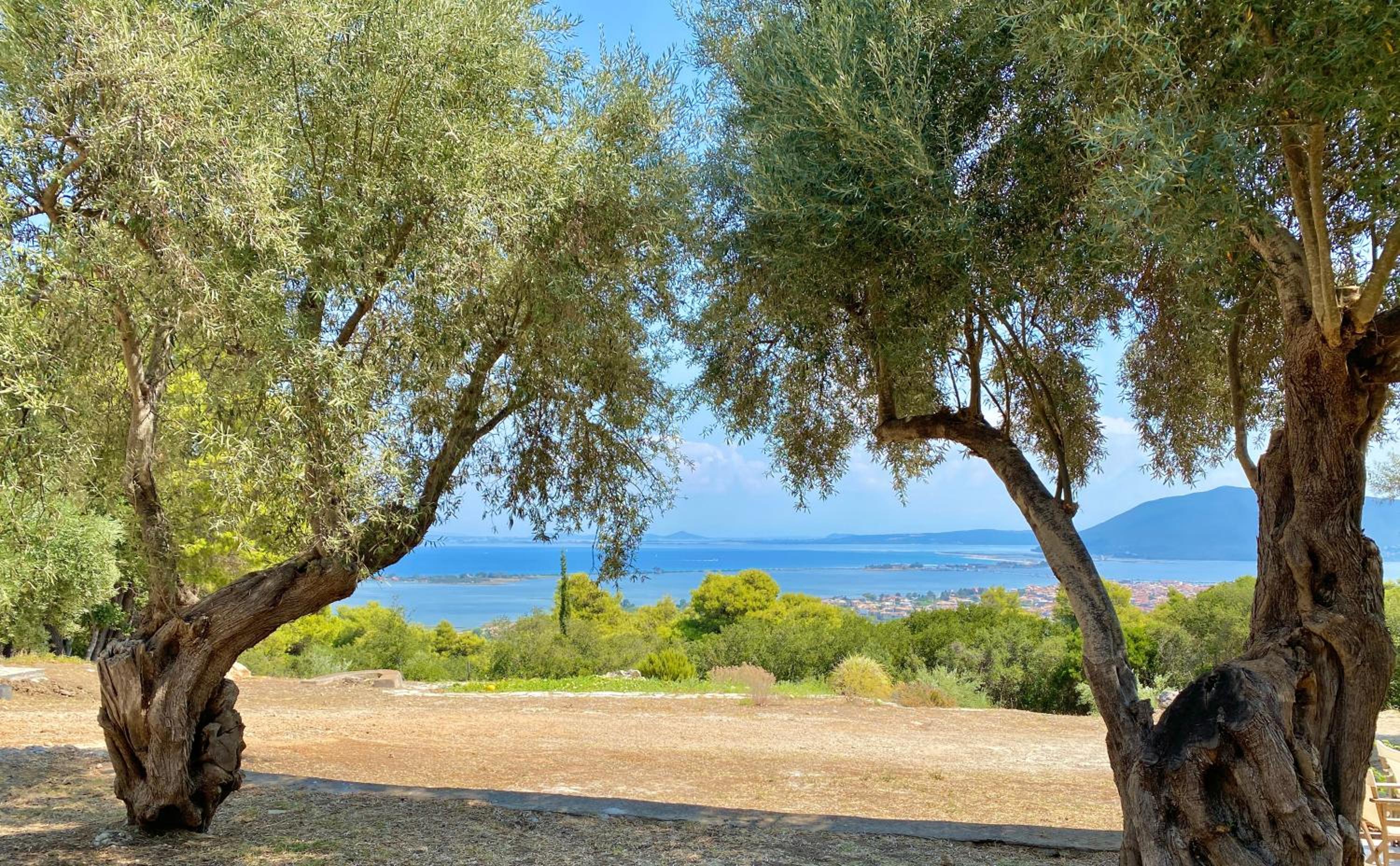 Olive Grove Cottage - Excellent View photo 2